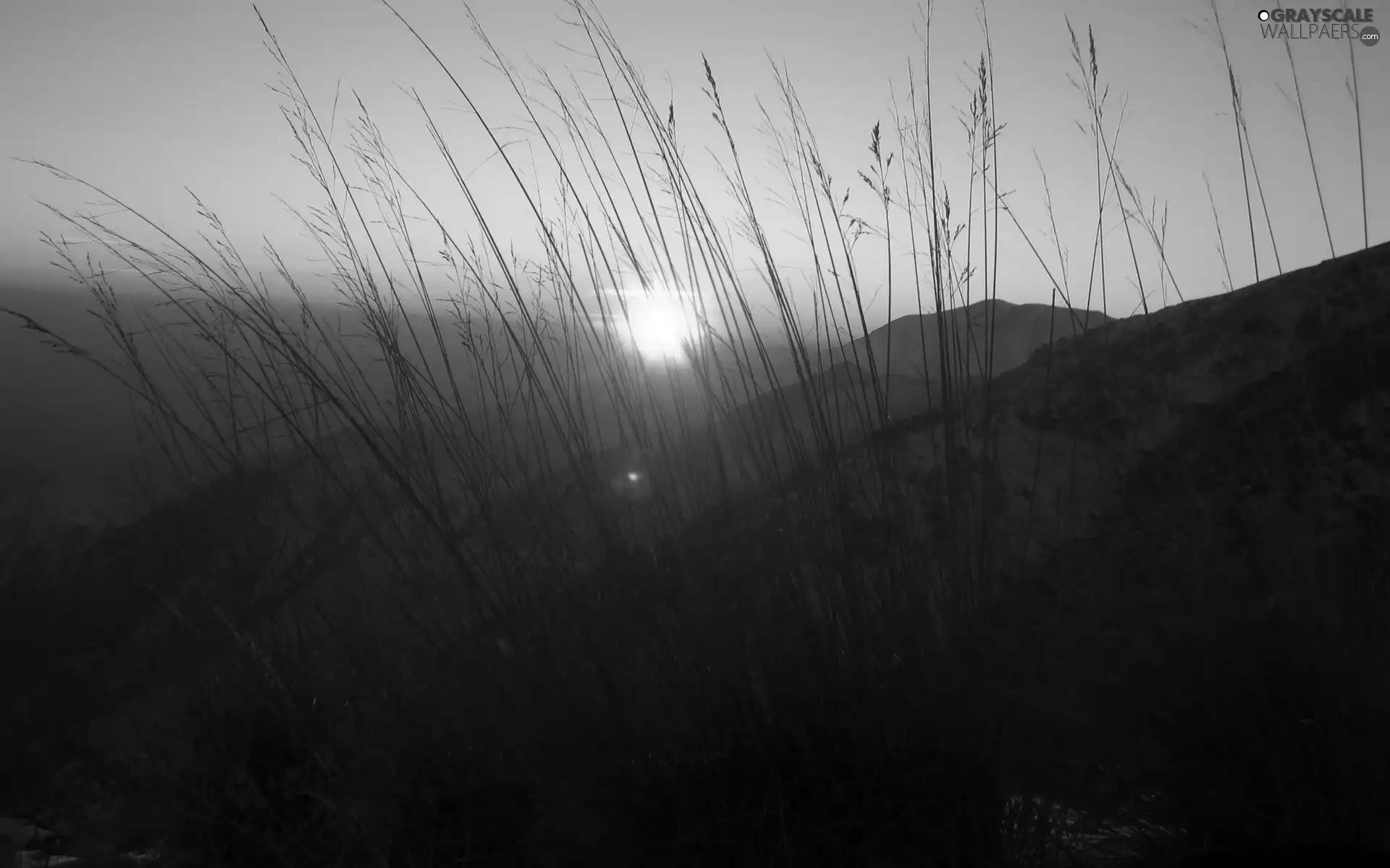 grass, Mountains, Great Sunsets