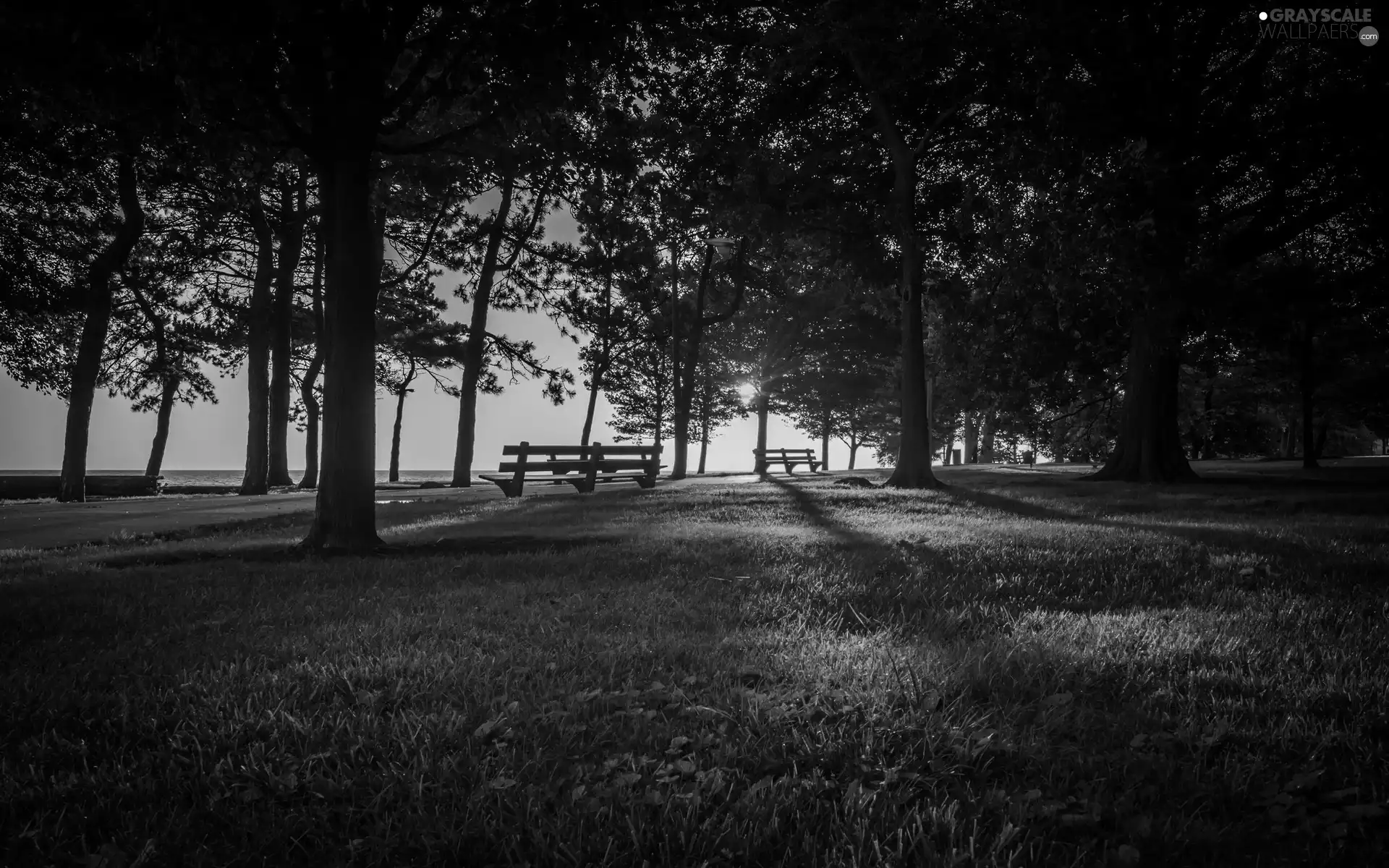 Park, Lawn, Great Sunsets, bench