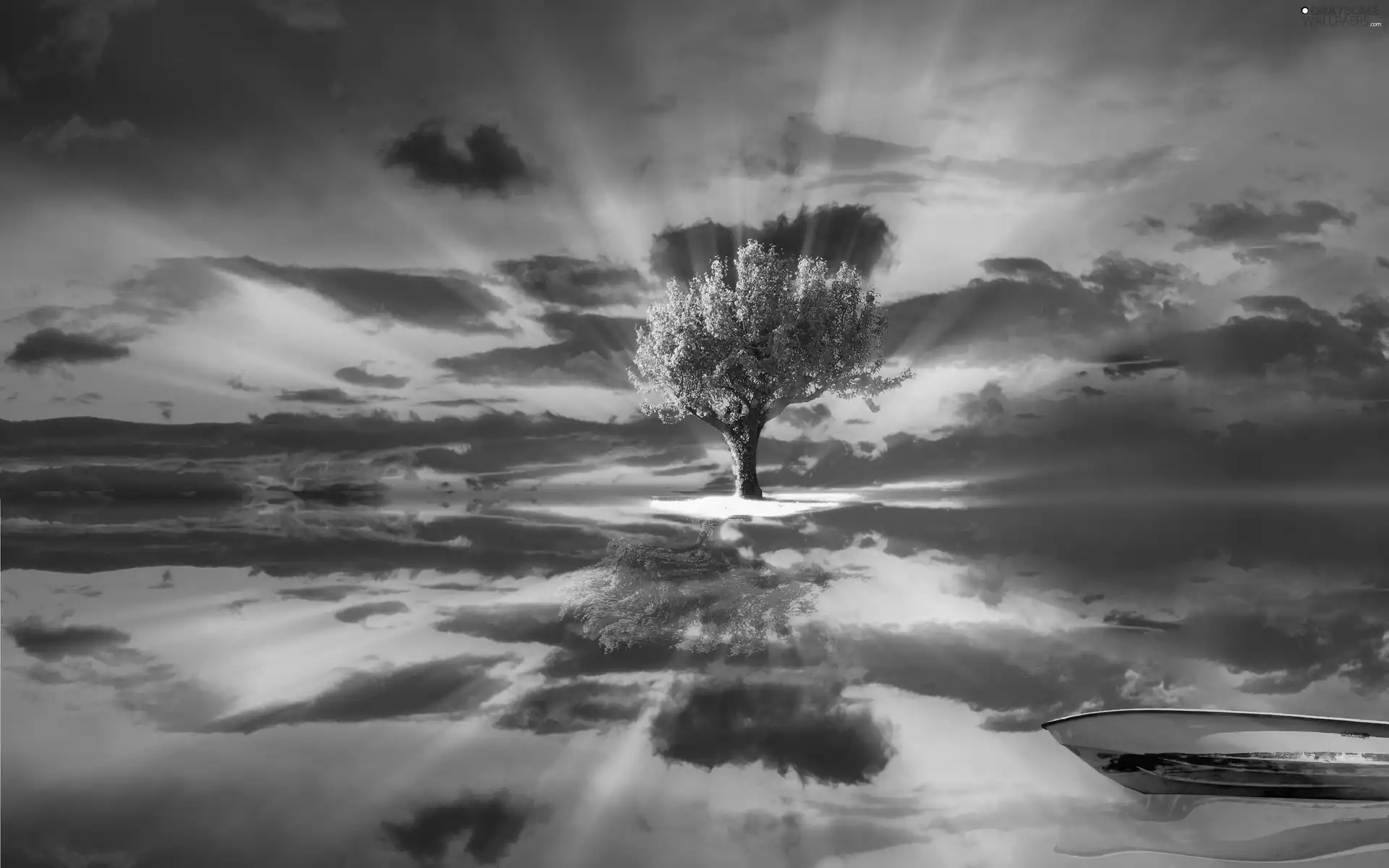 Great Sunsets, Sky, water, reflection, trees, clouds