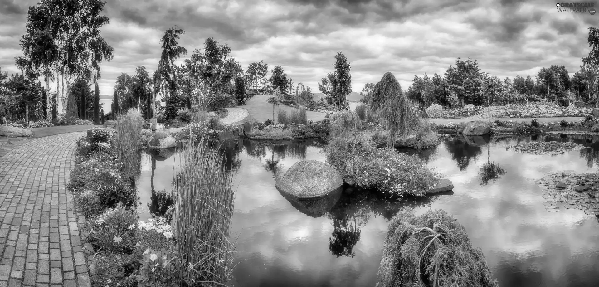 Park, Pond - car, green, Garden