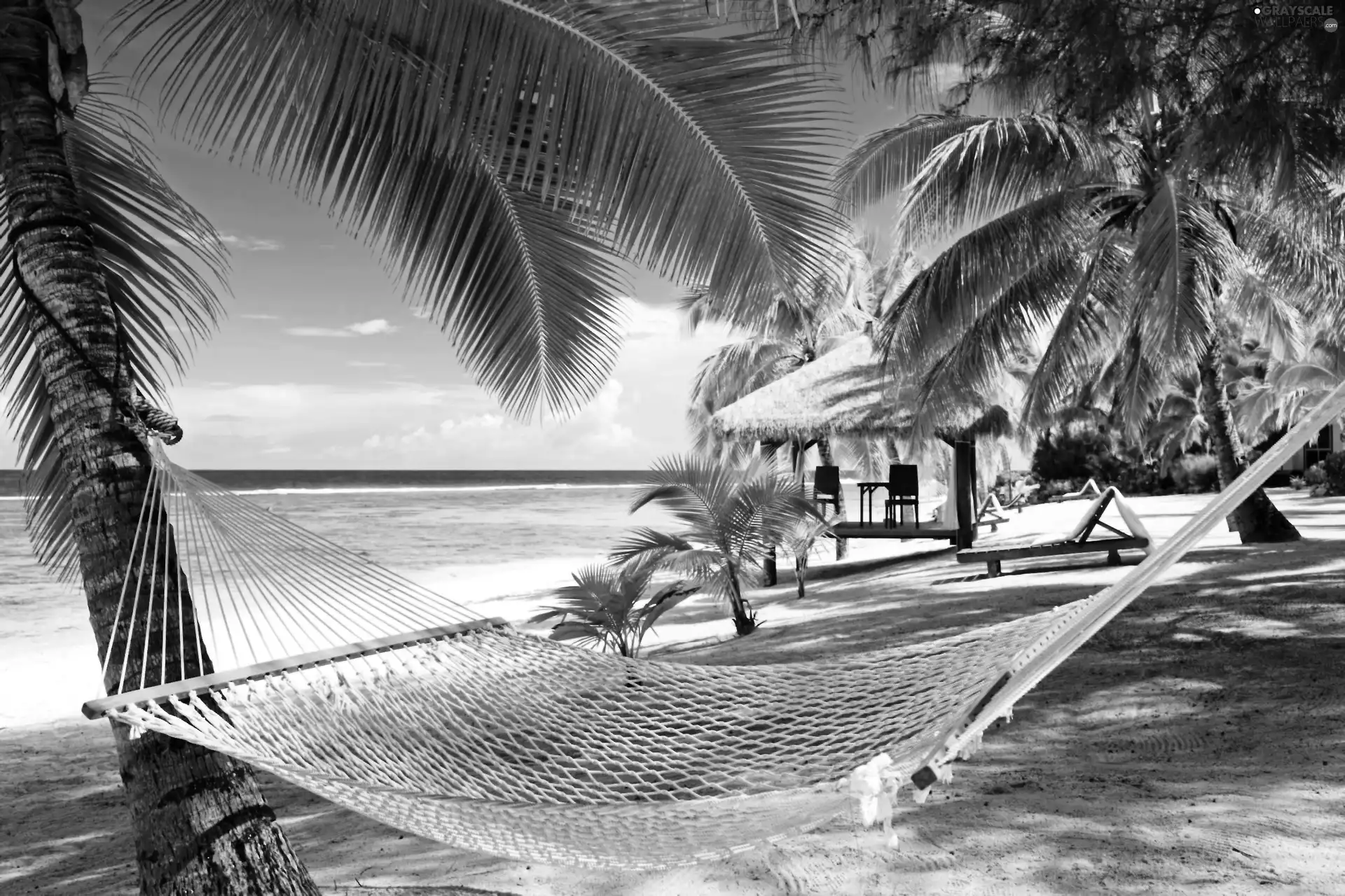 Hammock, sea, Palms