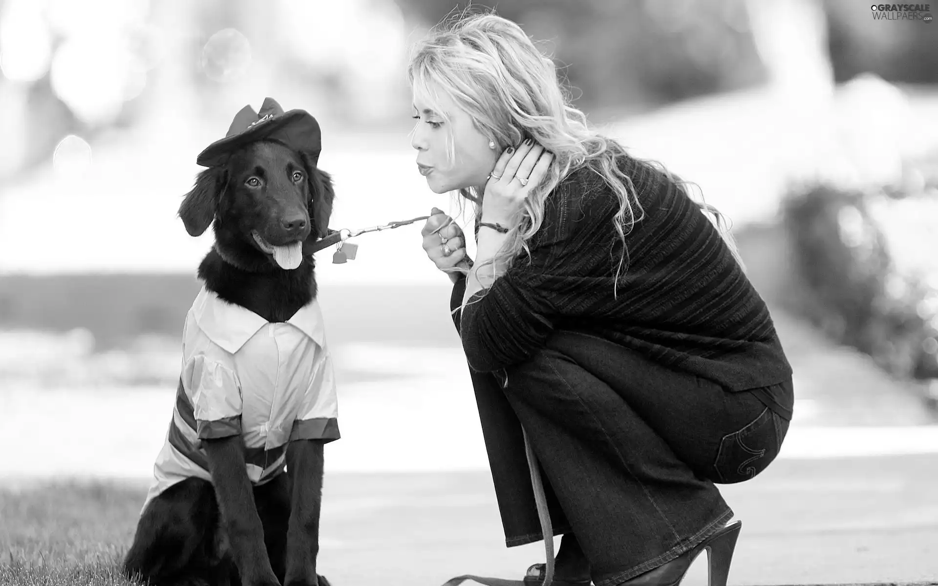 hat, Women, doggy