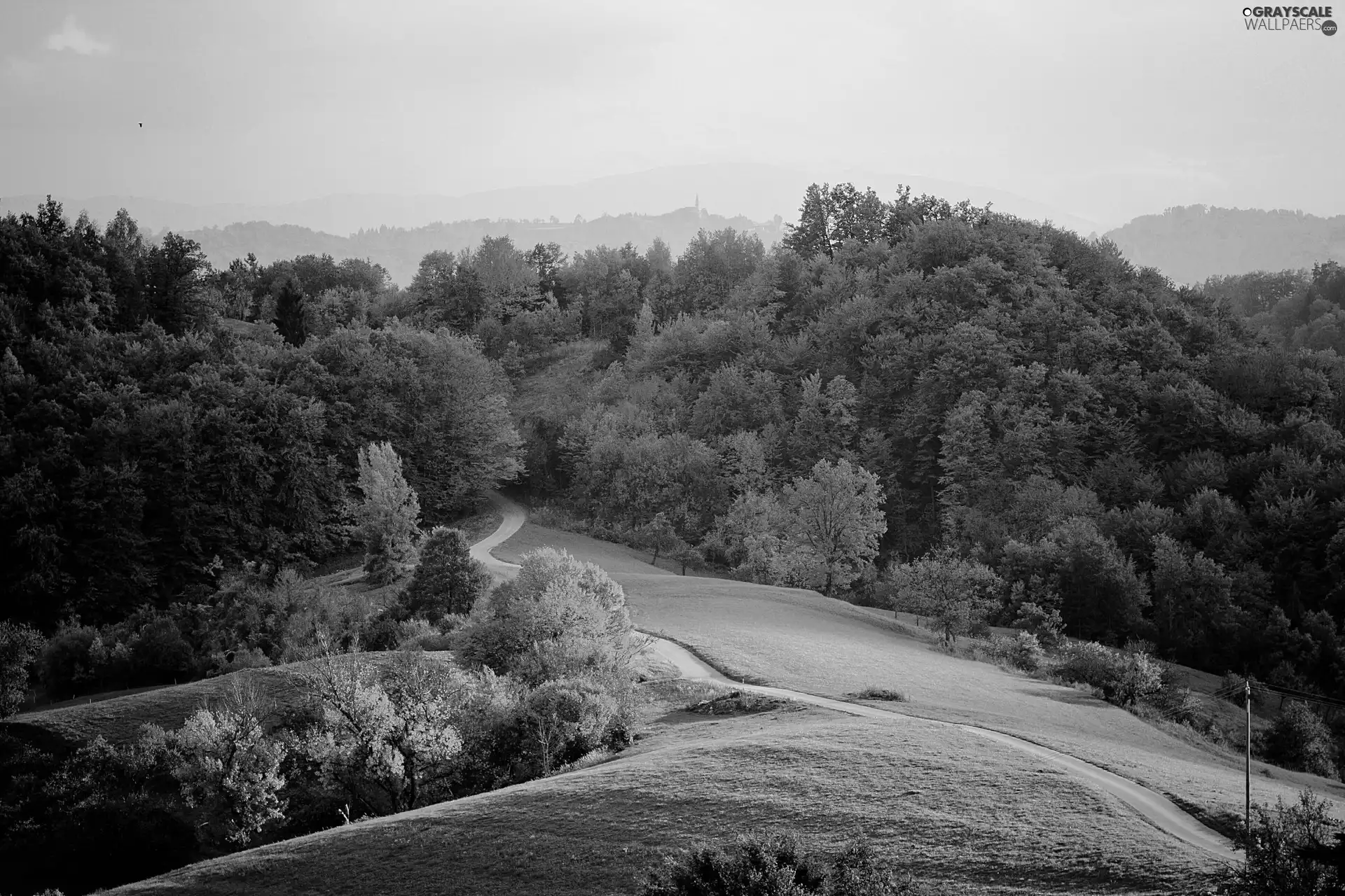 trees, autumn, hills, landscape, viewes, Way