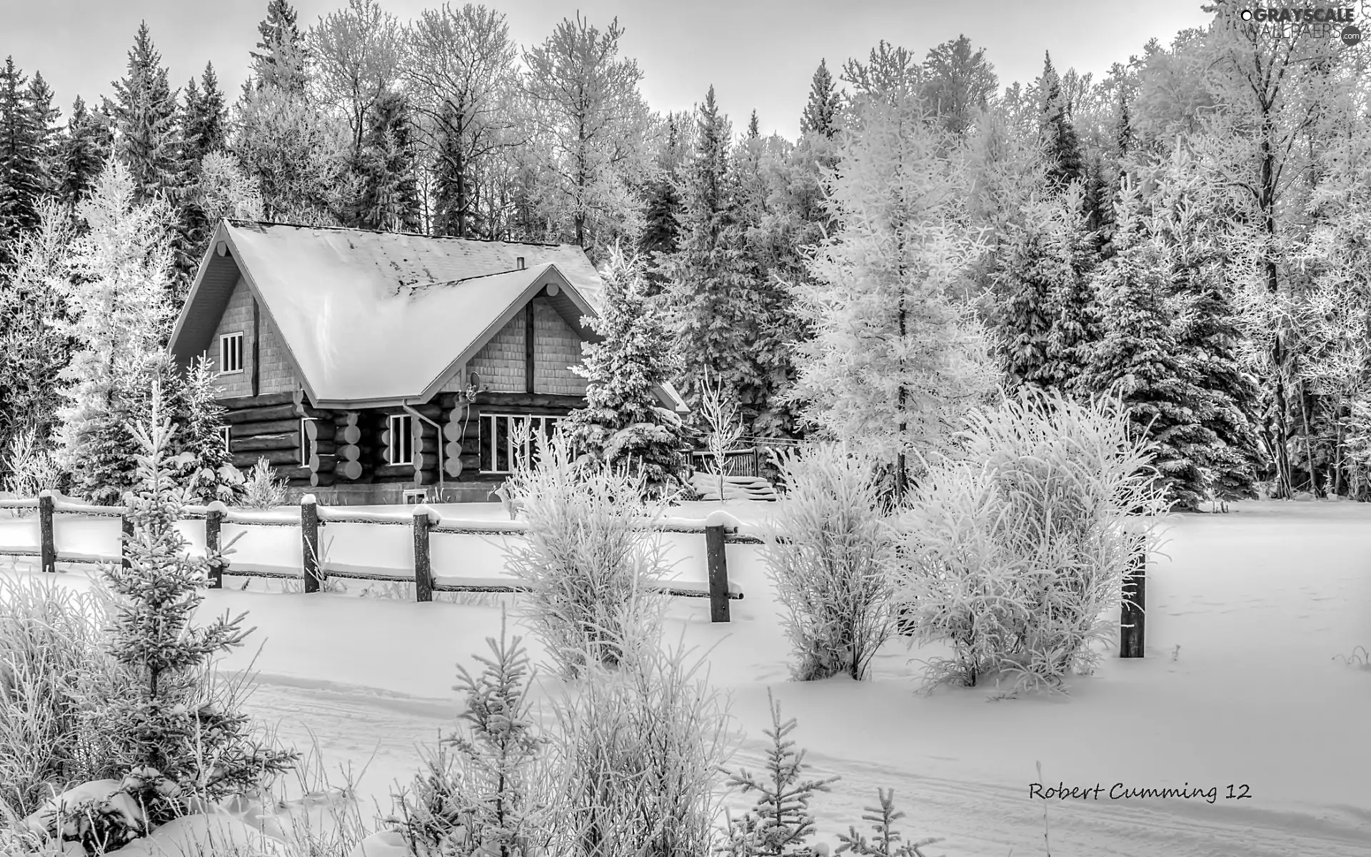 house, winter, forest