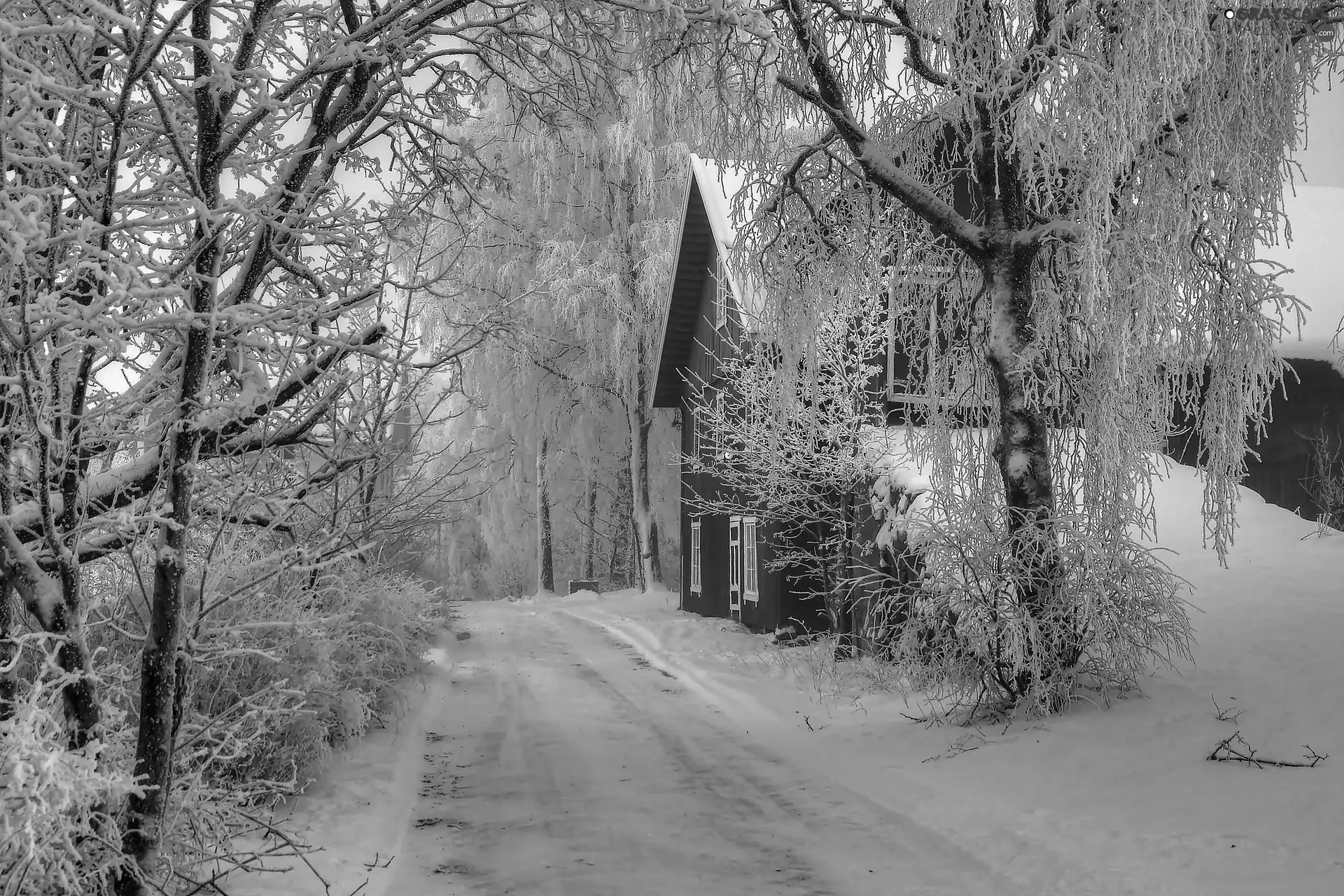 house, winter, Way