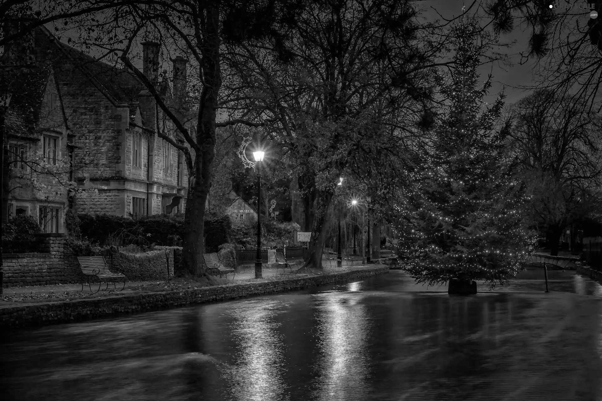 christmas, Street, Houses, christmas tree