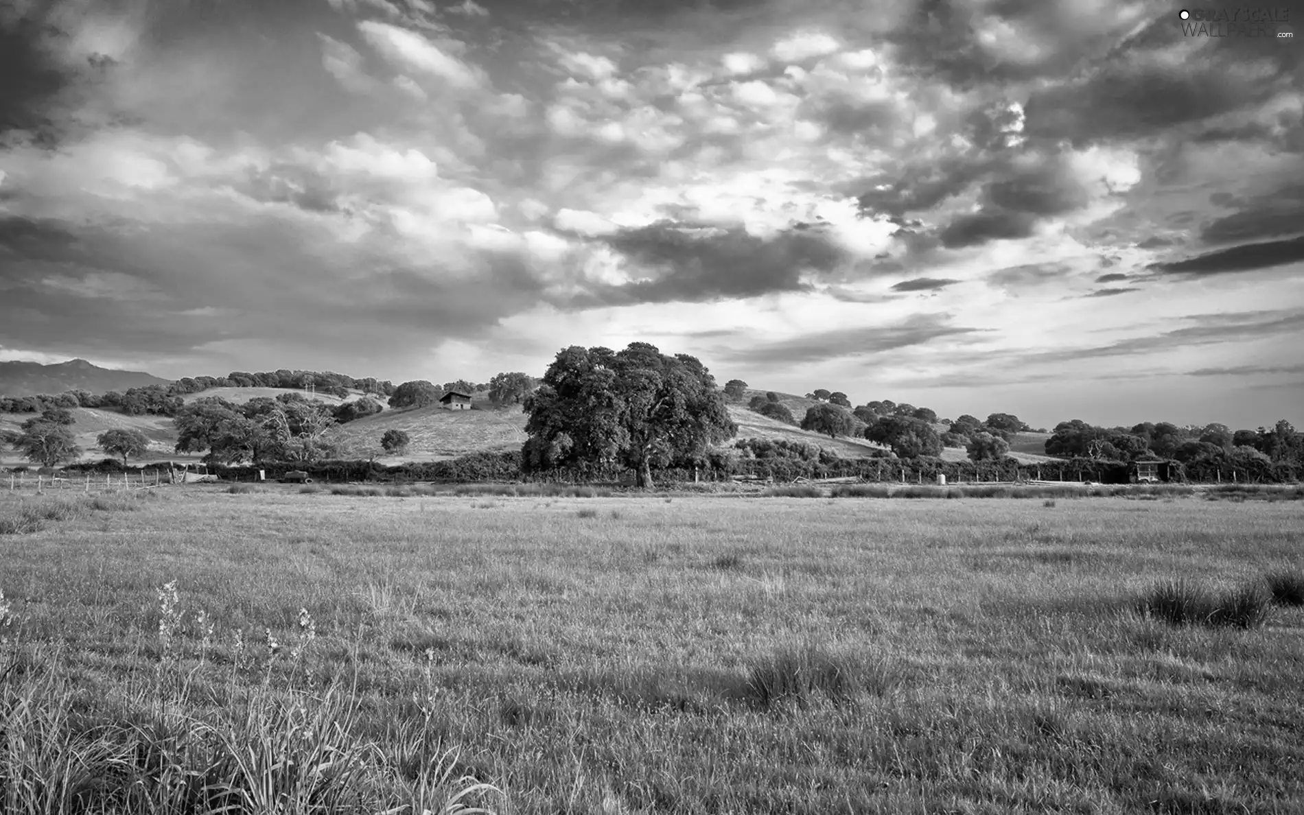 medows, viewes, Houses, trees