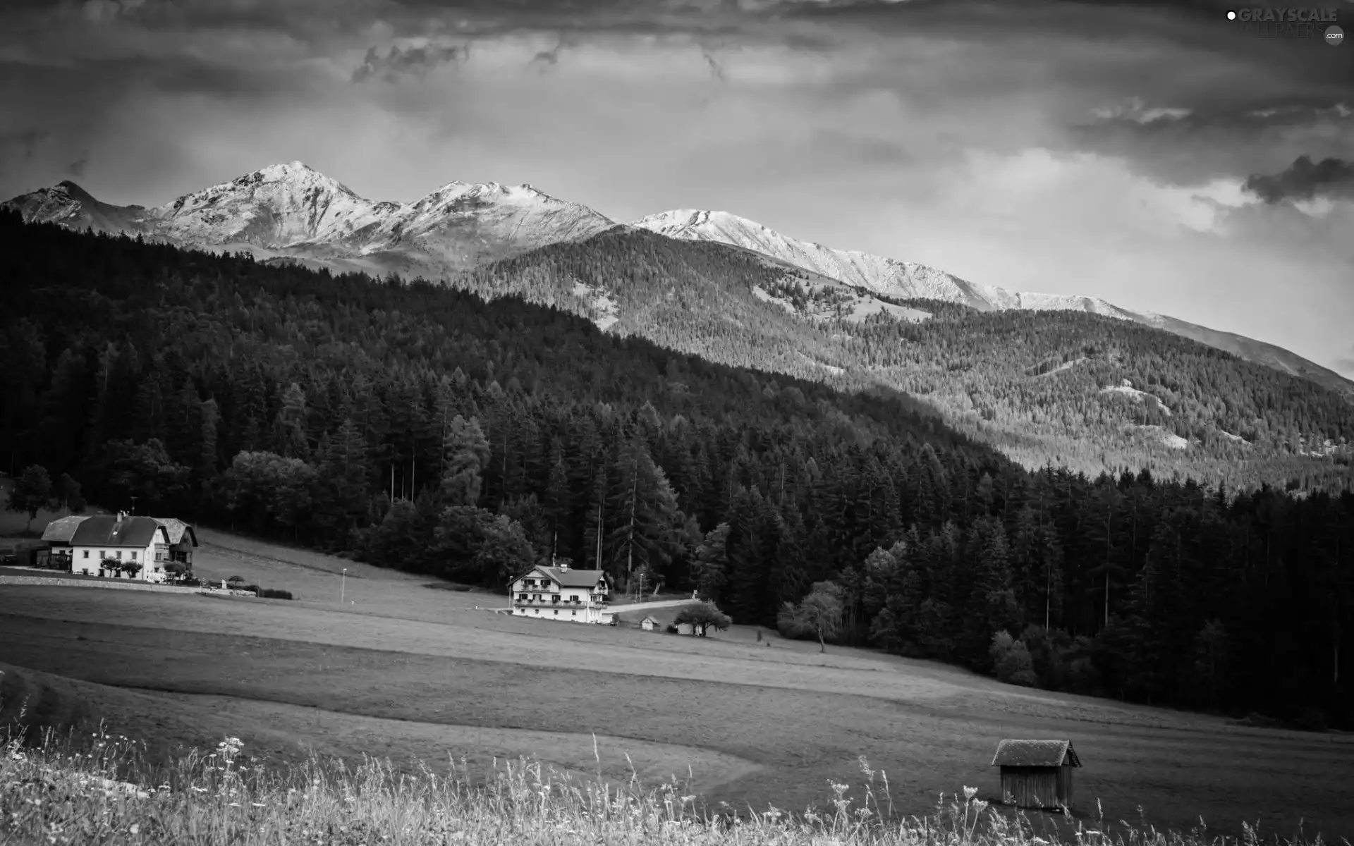 Houses, summer, woods, medows, Mountains