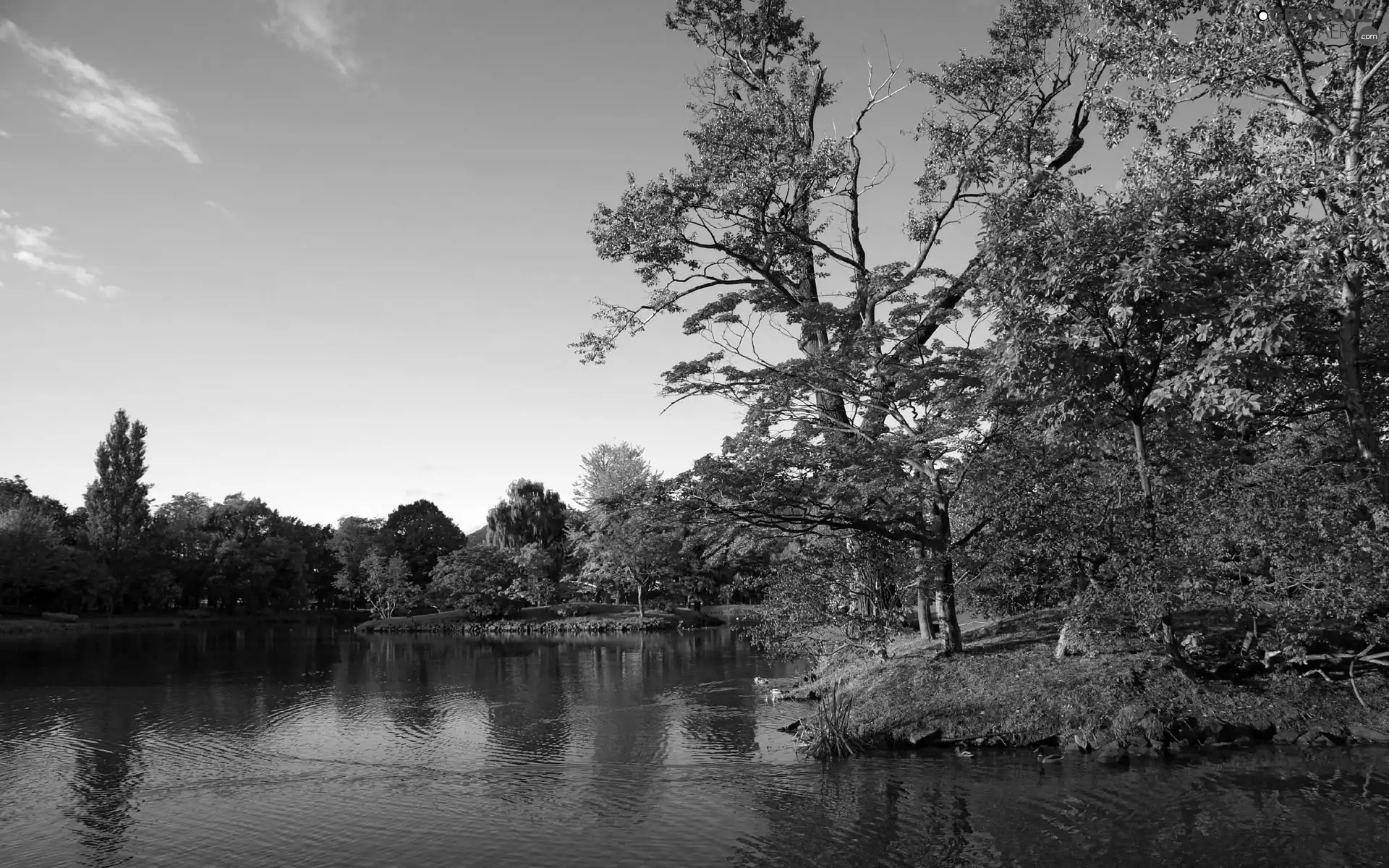 lake, Nakajima, Japan, Park