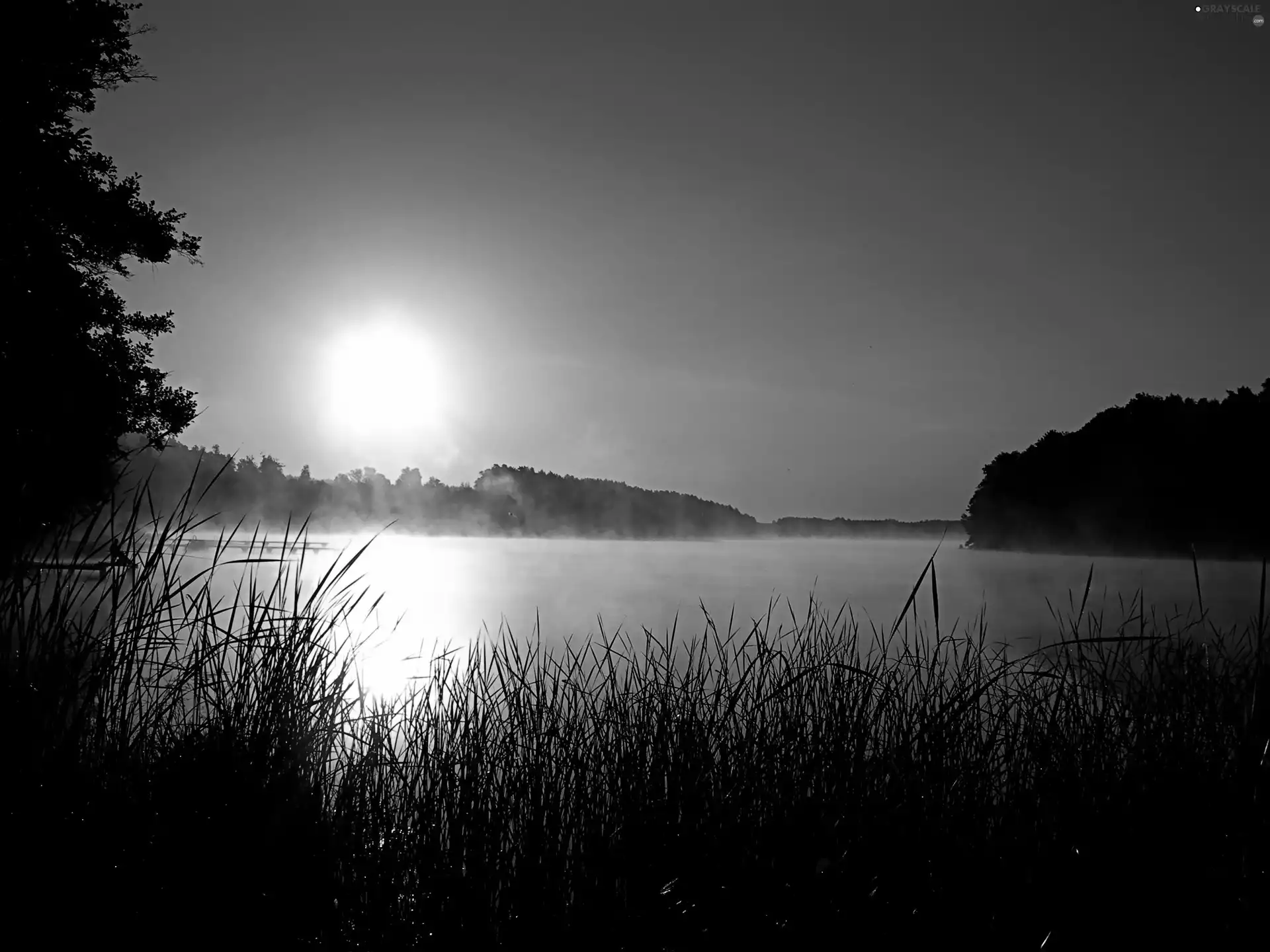 grass, Great Sunsets, lake