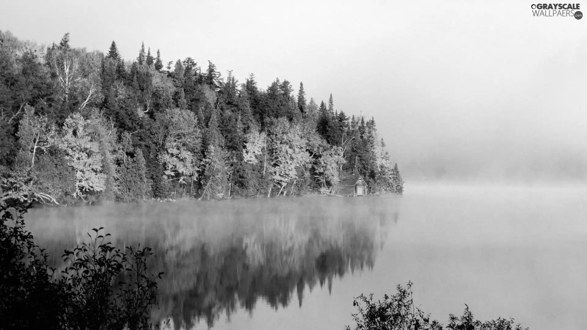 trees, autumn, lake, reflection, viewes, color