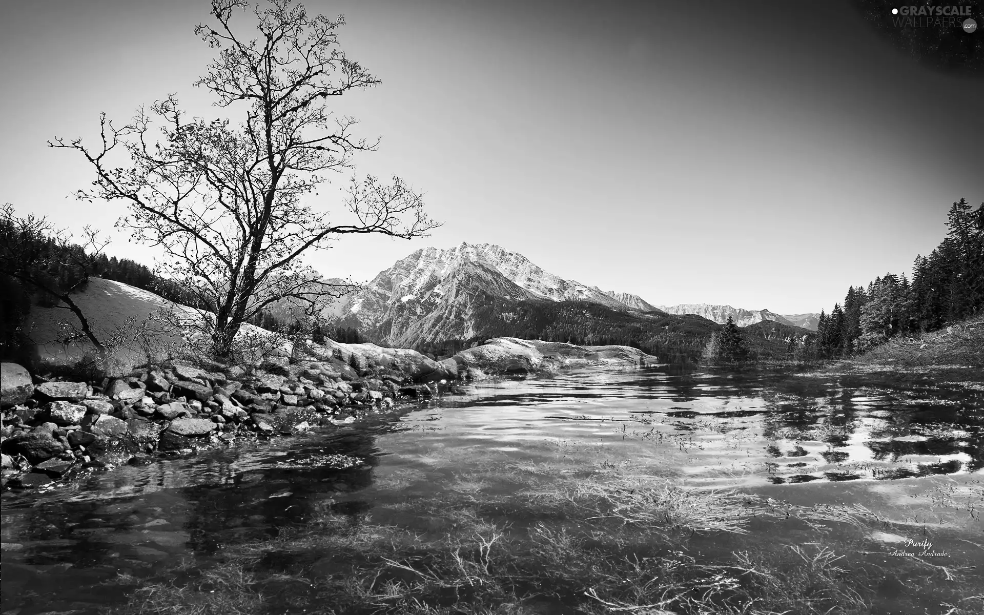 lake, Mountains, trees