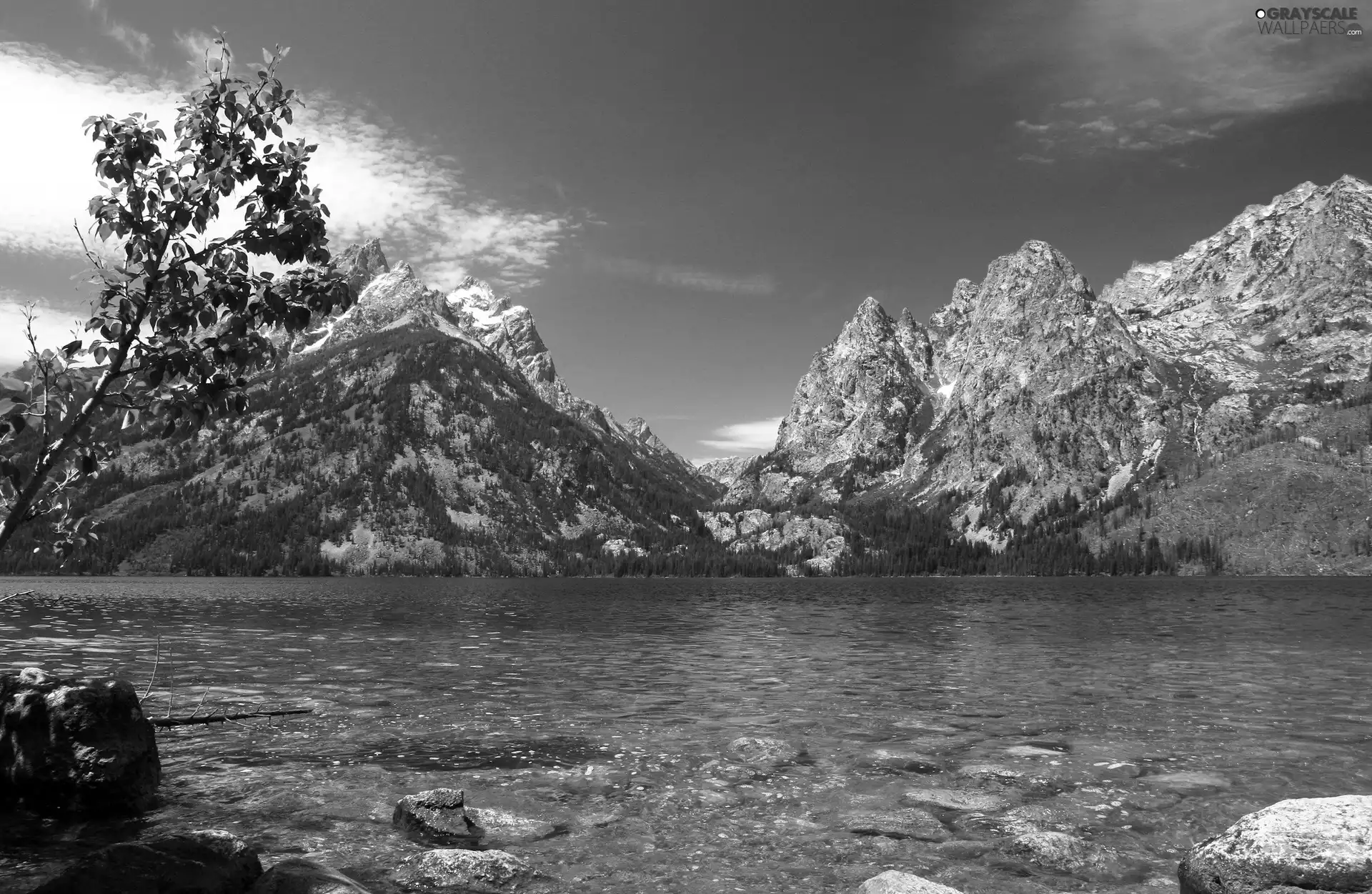 Wooded, Mountains, lake, forest