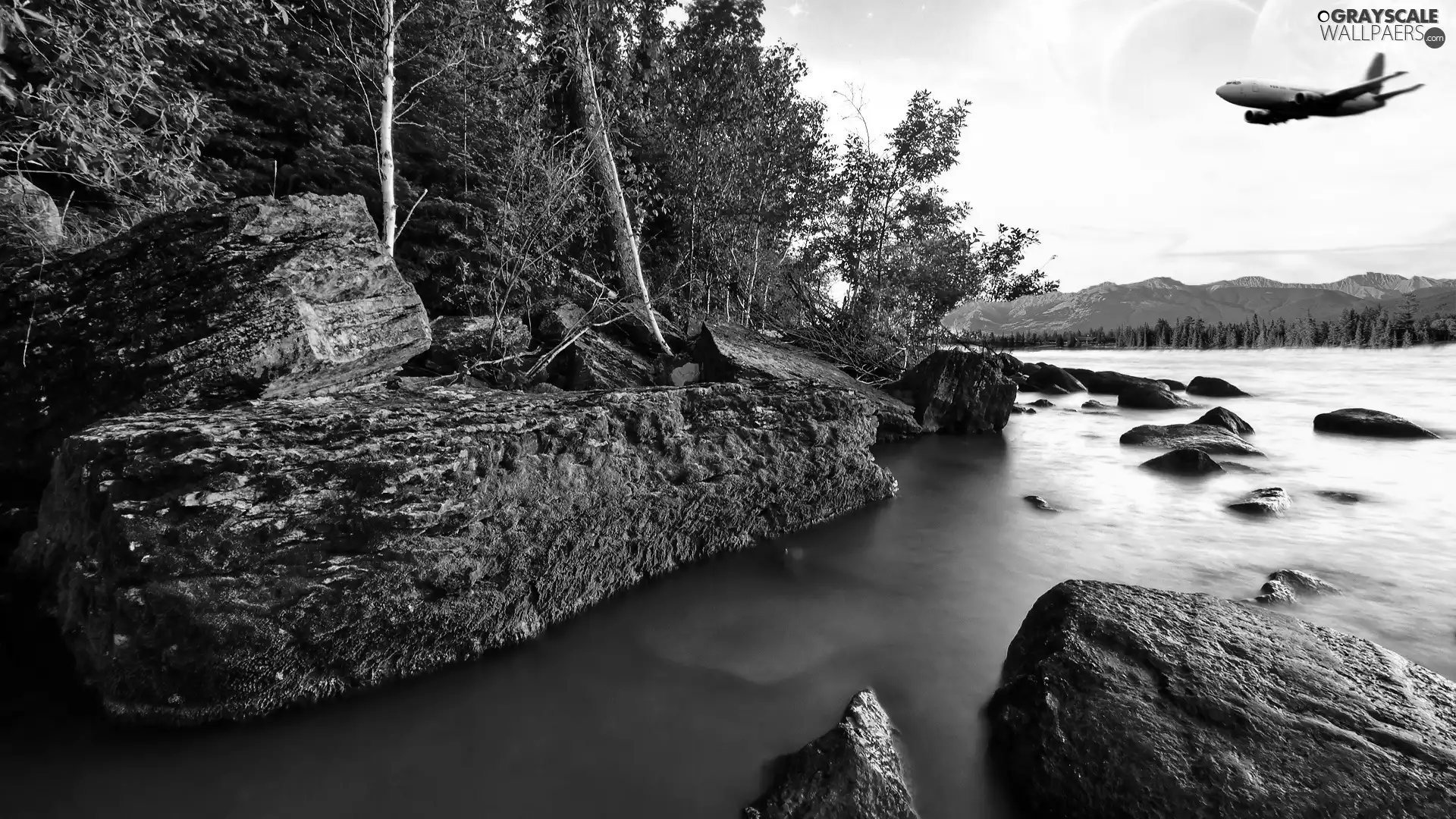 forest, plane, landscape, River