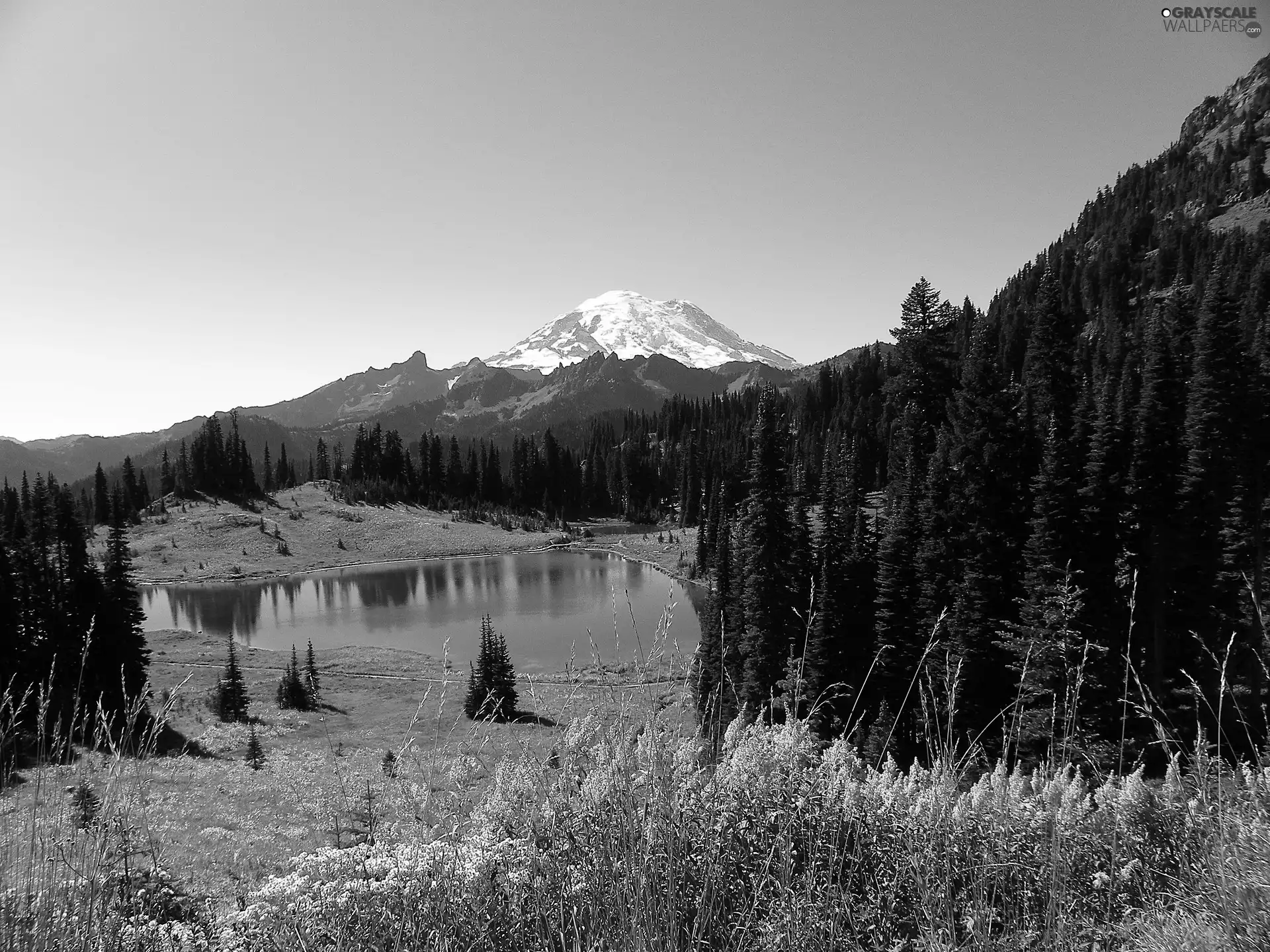 lake, woods, landscape, Mountains