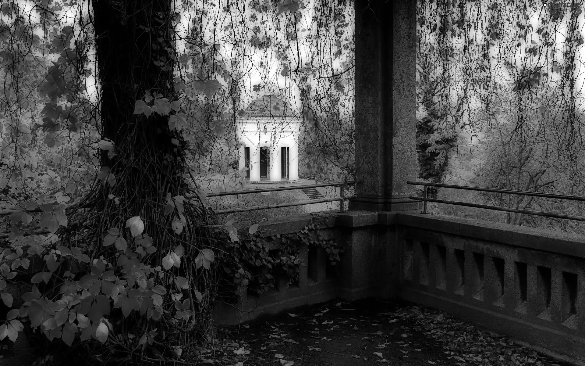 viewes, autumn, arbour, trees, Park