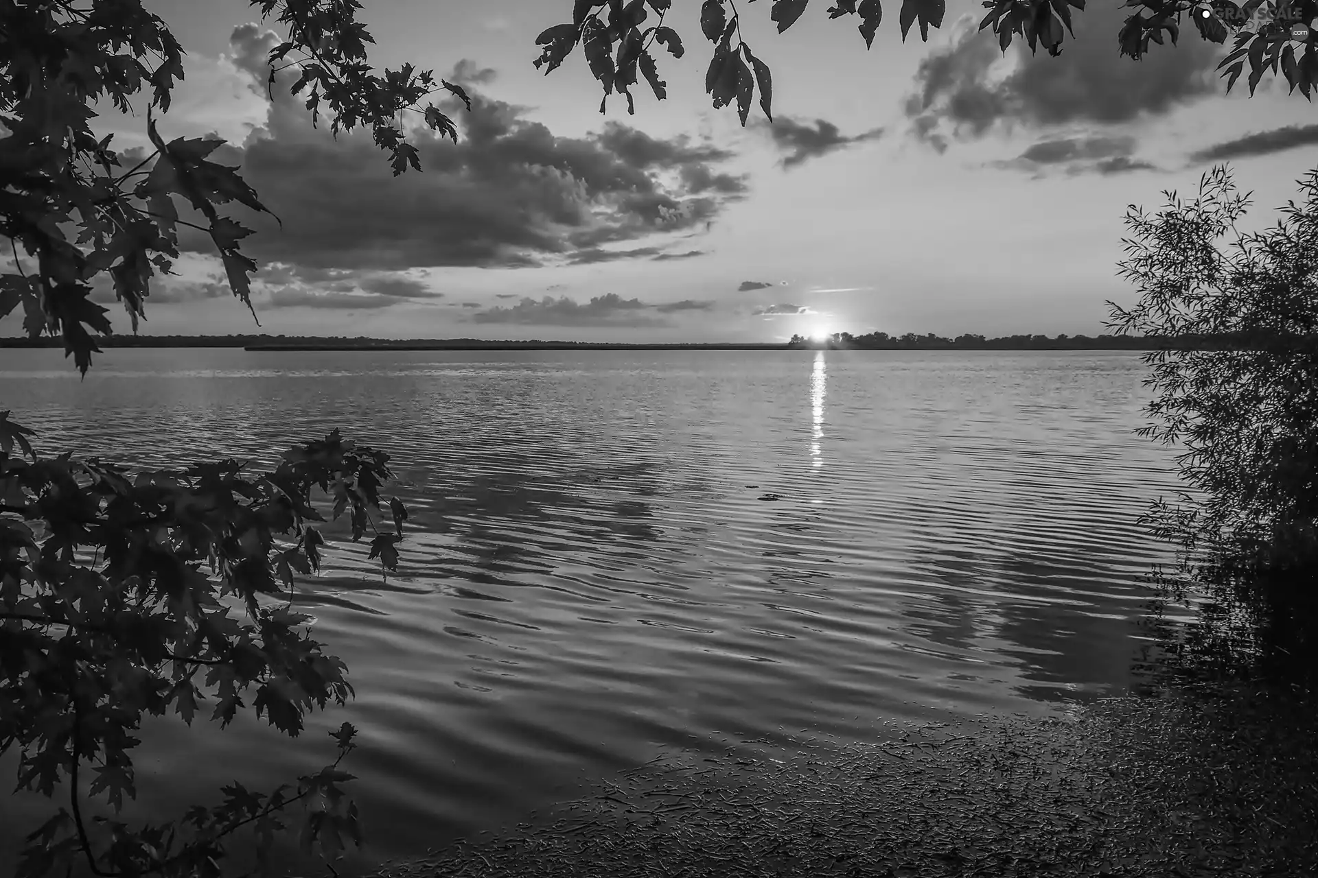 lake, trees, Leaf, Great Sunsets