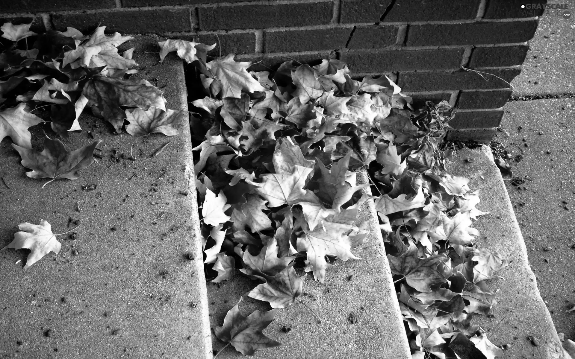 Stairs, Leaf