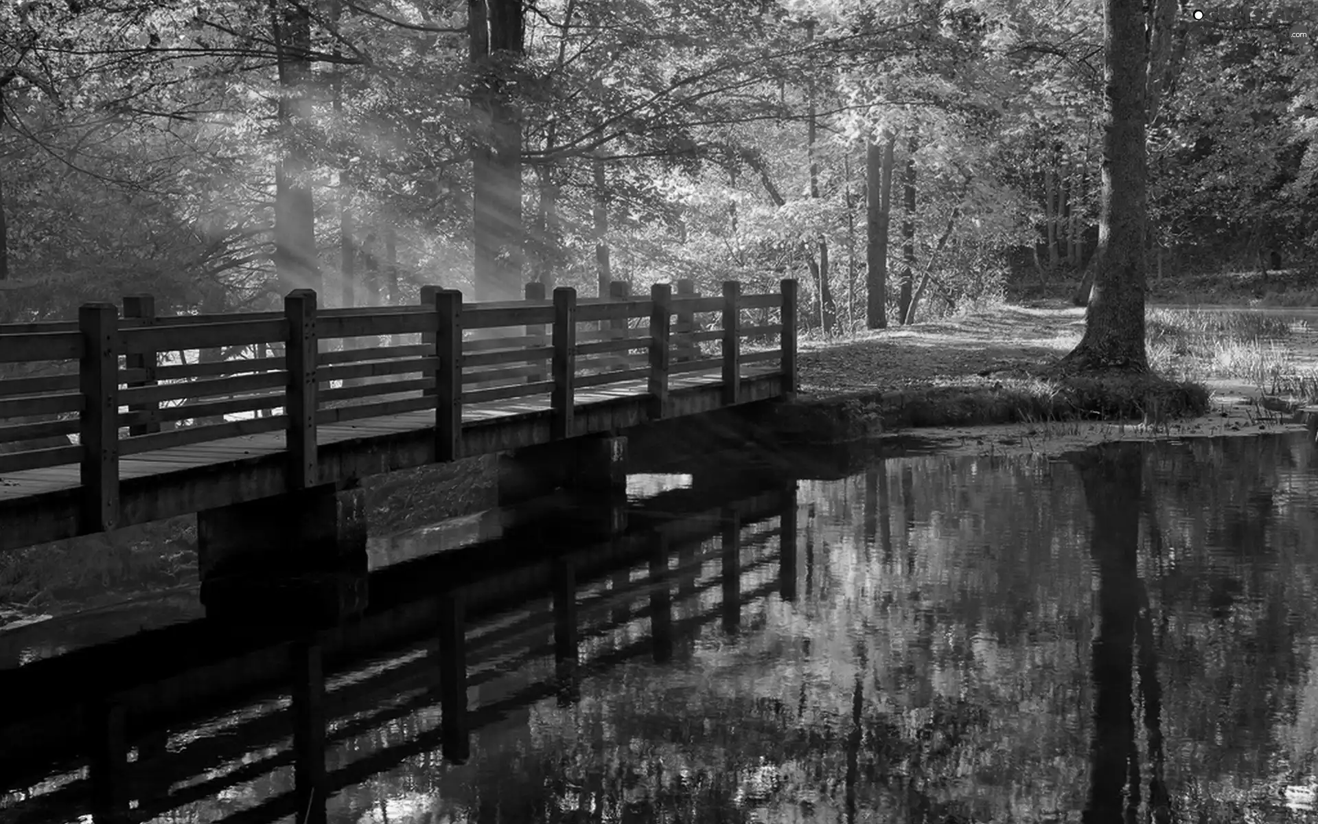 bridge, ligh, autumn, sun, luminosity, River, Park, flash