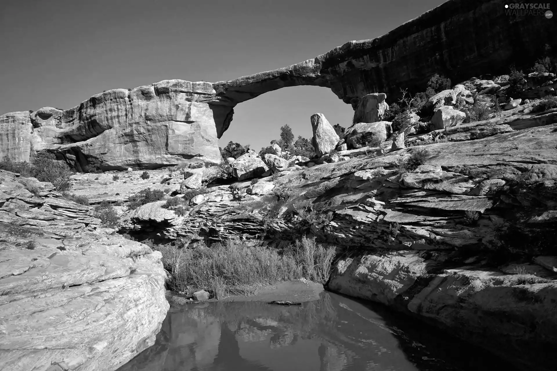 VEGETATION, ligh, shadow, sun, luminosity, stream, rocks, flash