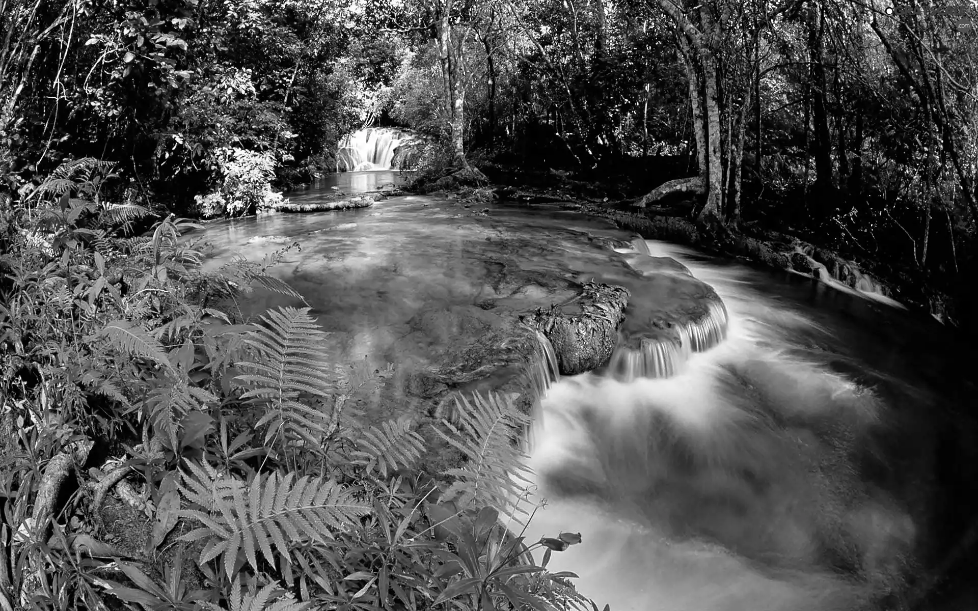 waterfalls, ligh, shadows, sun, luminosity, River, forest, flash