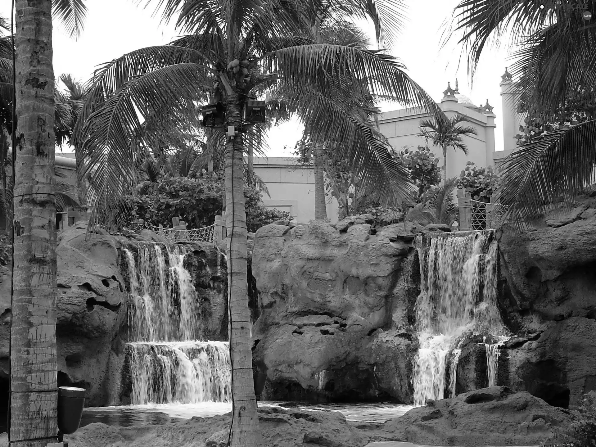 Mini, Palms, lighting, waterfall