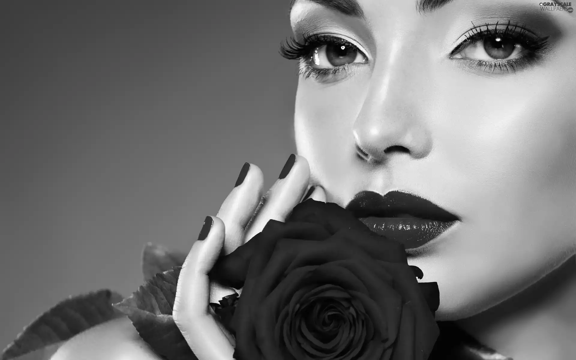 rose, Women, make-up