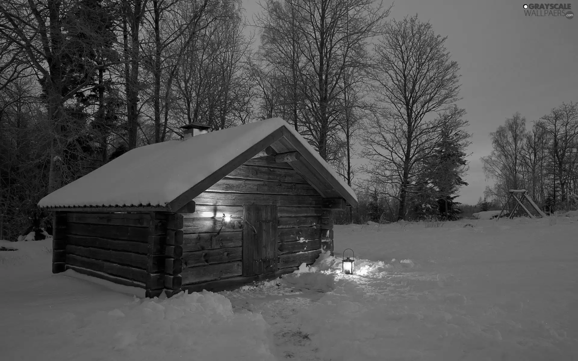 Floodlit, forest, lantern, winter, Home, car in the meadow