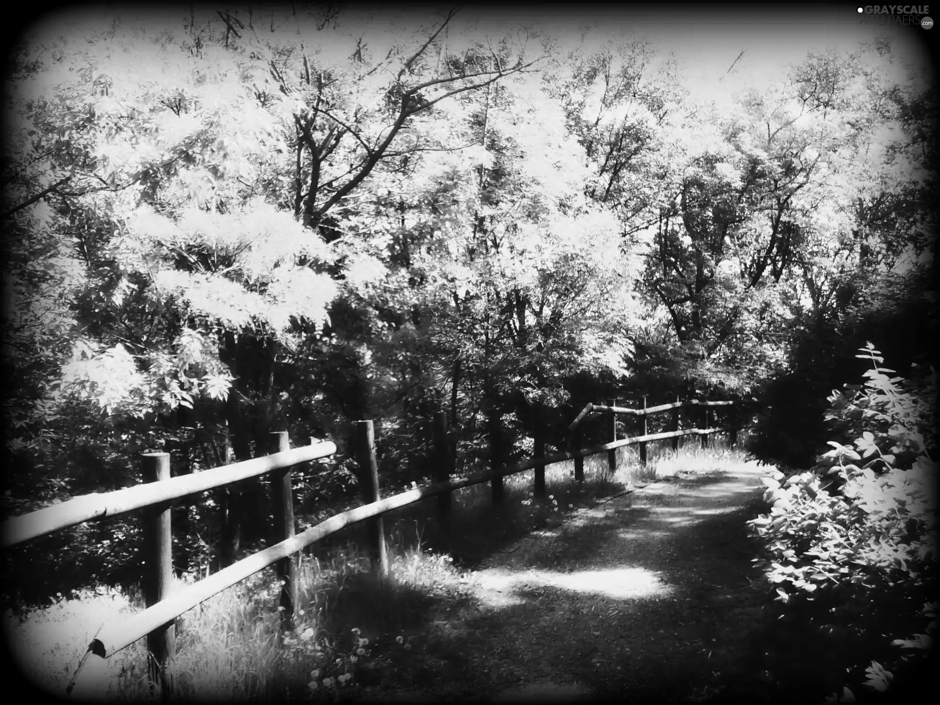 metropolis, Park, viewes, grass, trees, Warsaw, Park Small farmhouse, Path