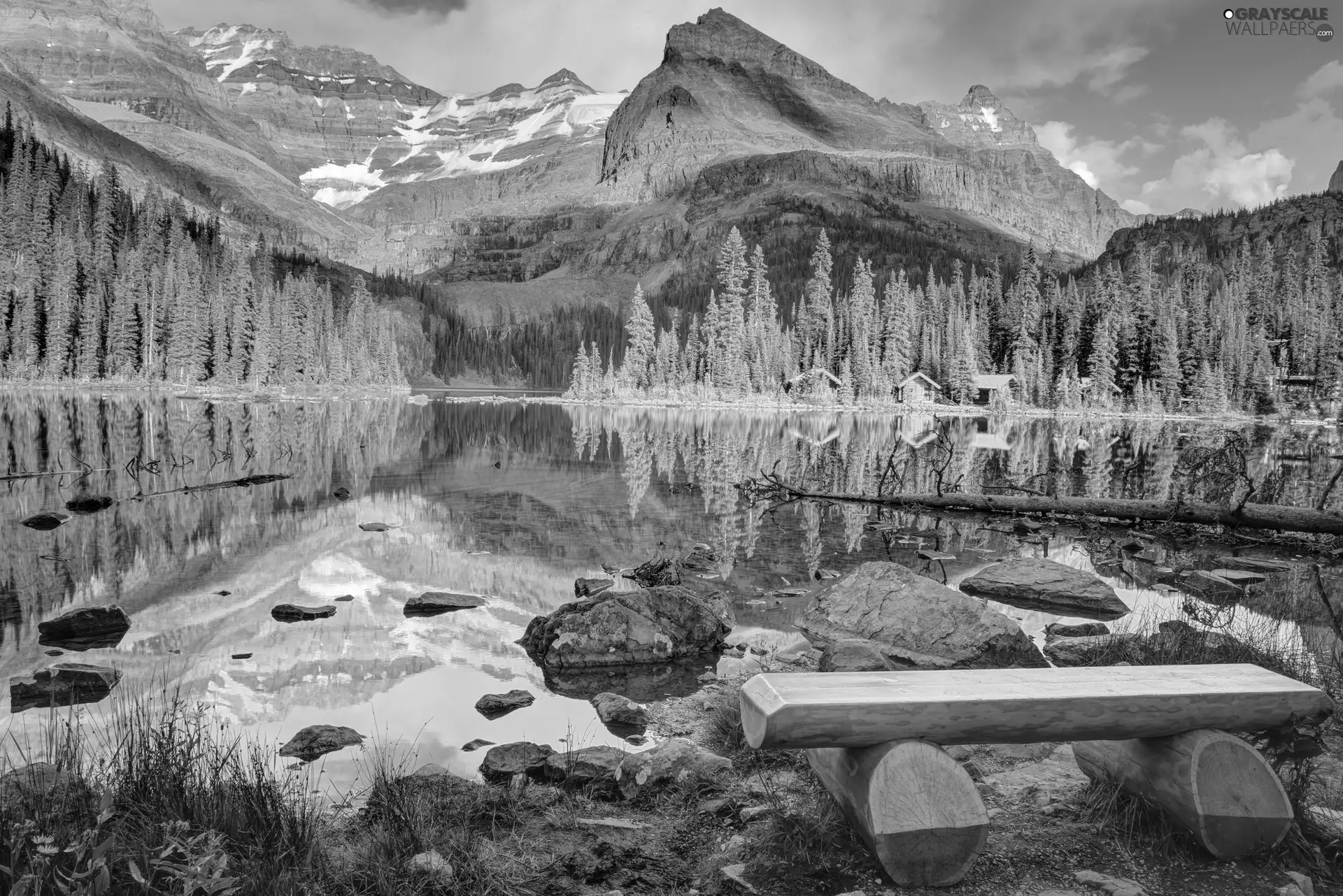 forest, Bench, Mountains, lake