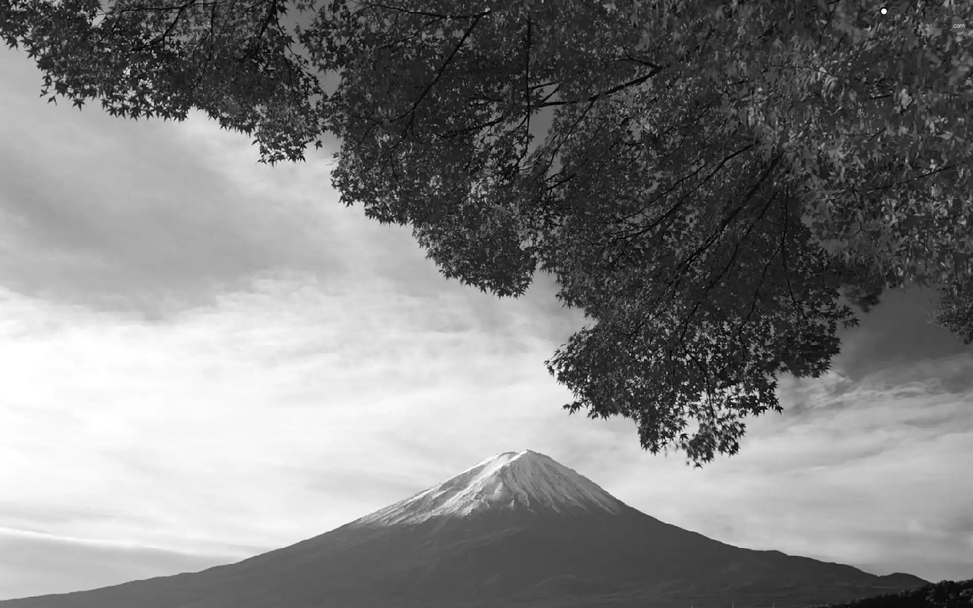 mountains, color, Leaf