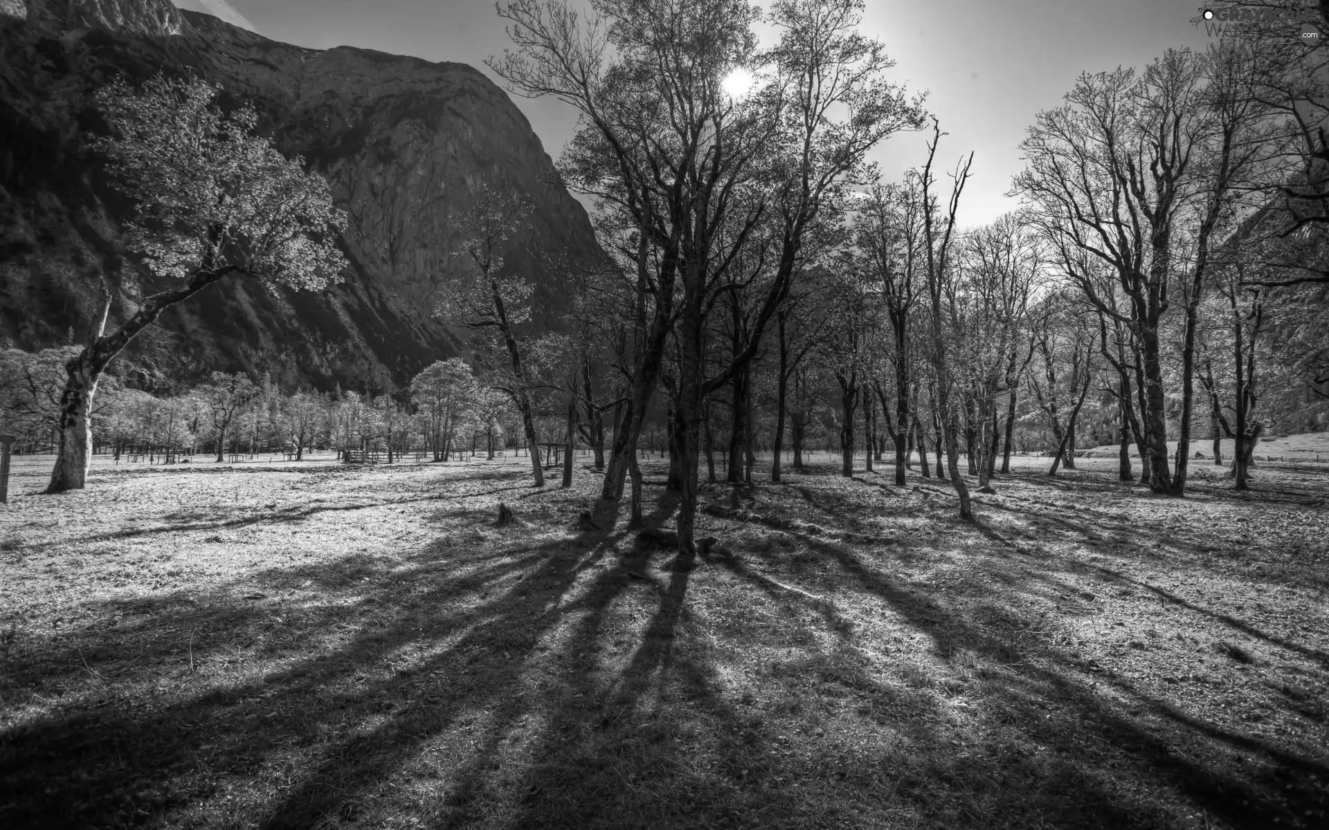 Park, Mountains