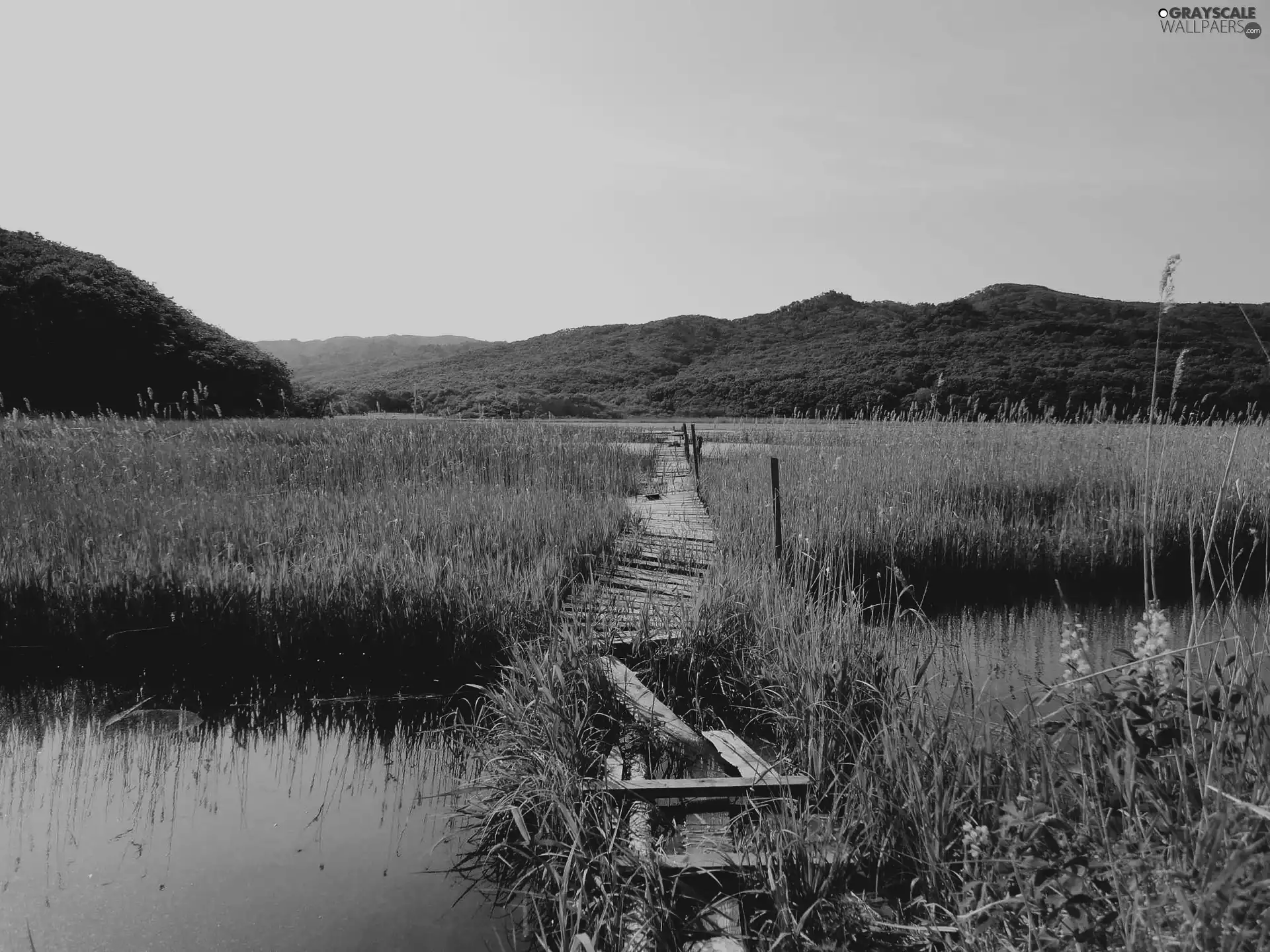 River, grass, Mountains, bridges