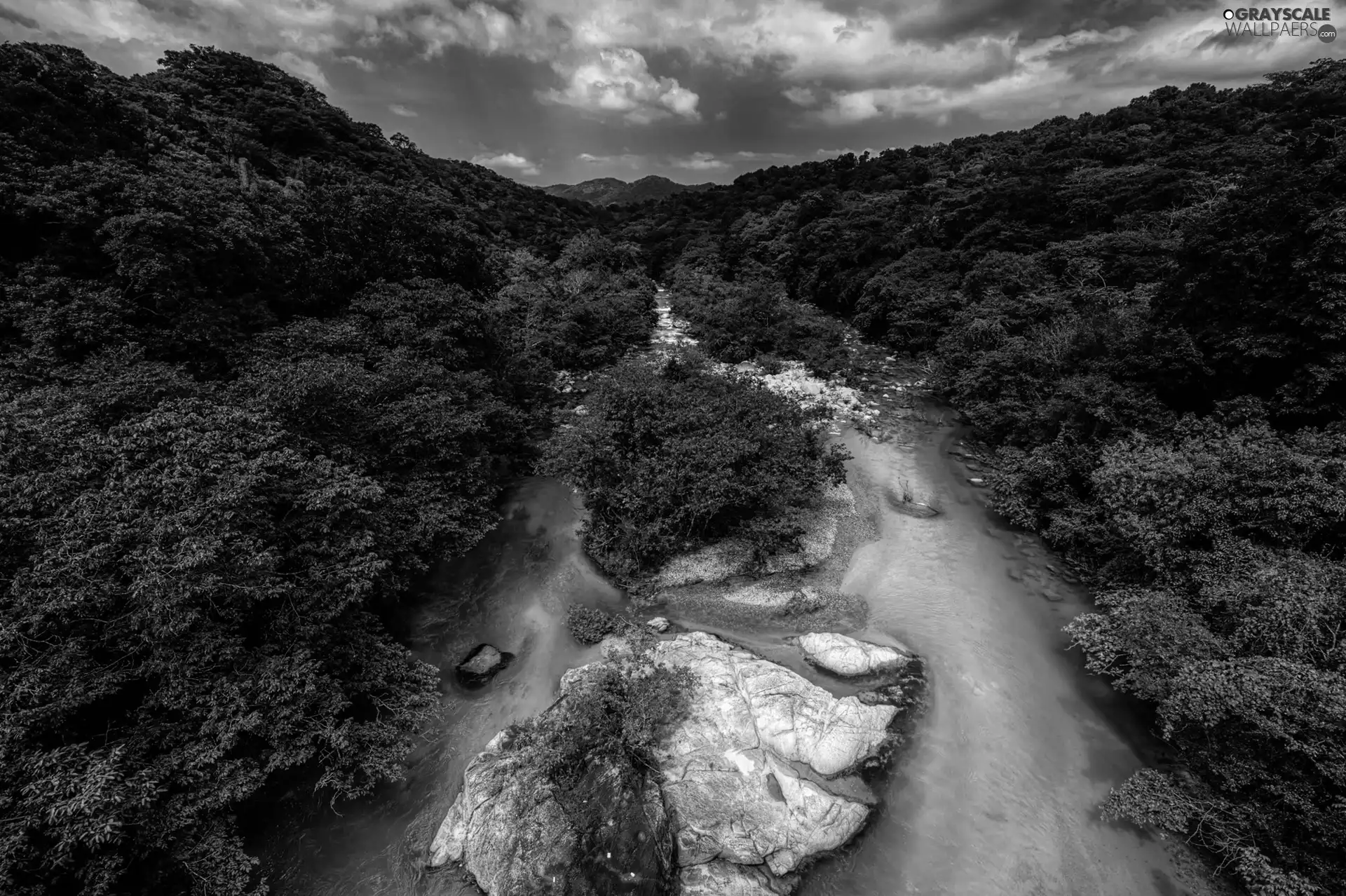 River, VEGETATION, Mountains, rocks