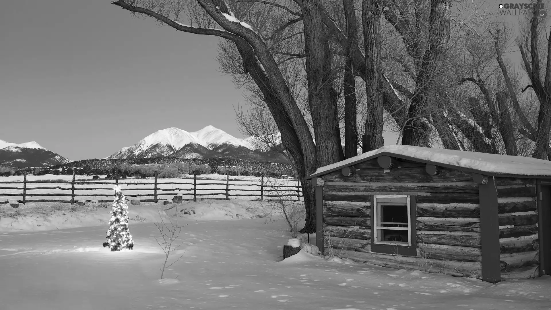 Mountains, winter, viewes, christmas tree, trees, Cottage