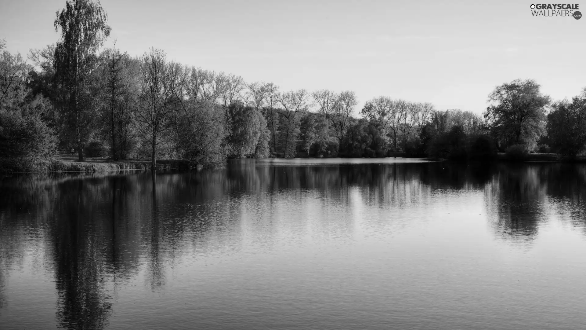 lake, viewes, Park, trees