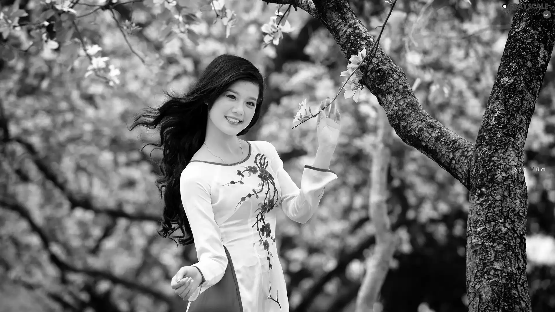 Park, Beauty, trees, viewes, flourishing, Japanese girl