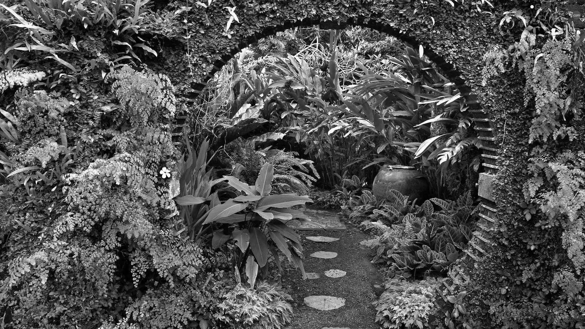 Path, Garden, green