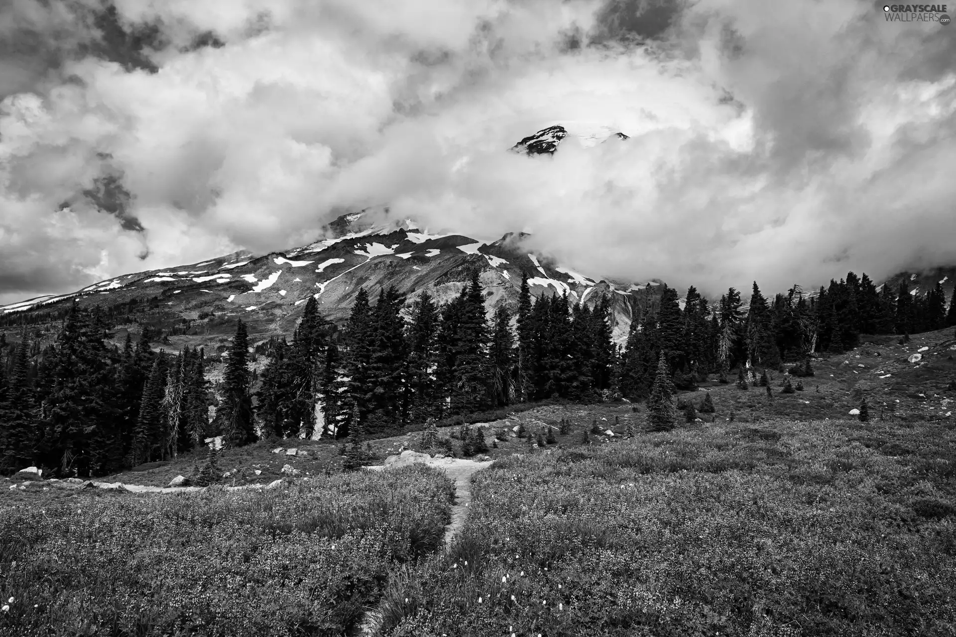 Mountains, Meadow, Path, clouds