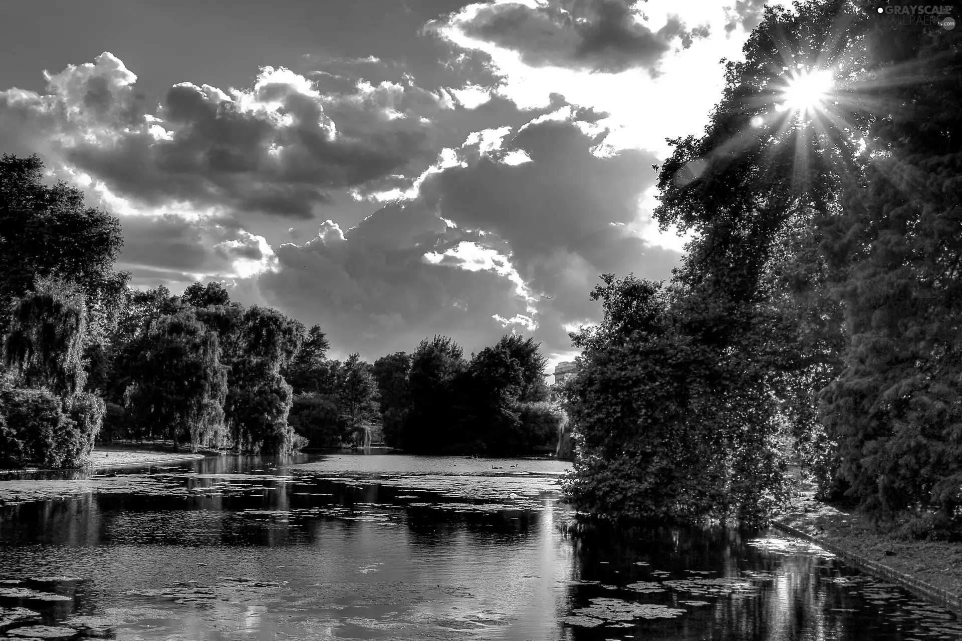 Park, sun, Pond - car, rays