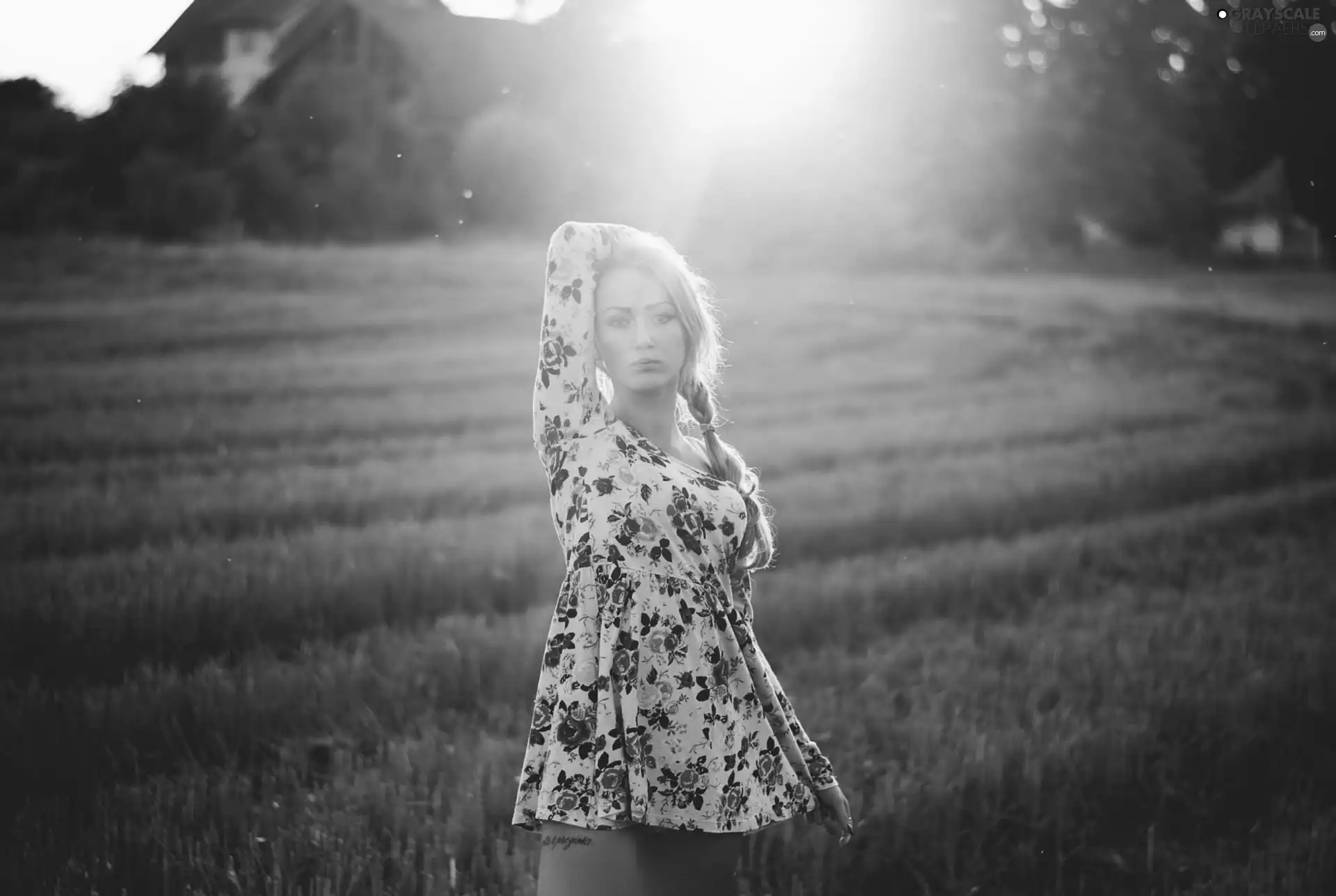 Field, Przebijające, luminosity, ligh, flash, Blonde, Women, sun