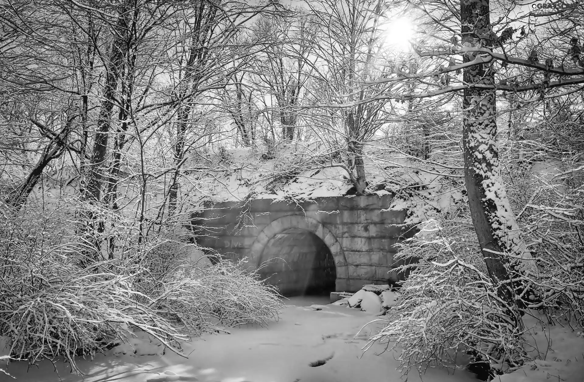 viewes, bridges, sun, trees, brook, rays, winter