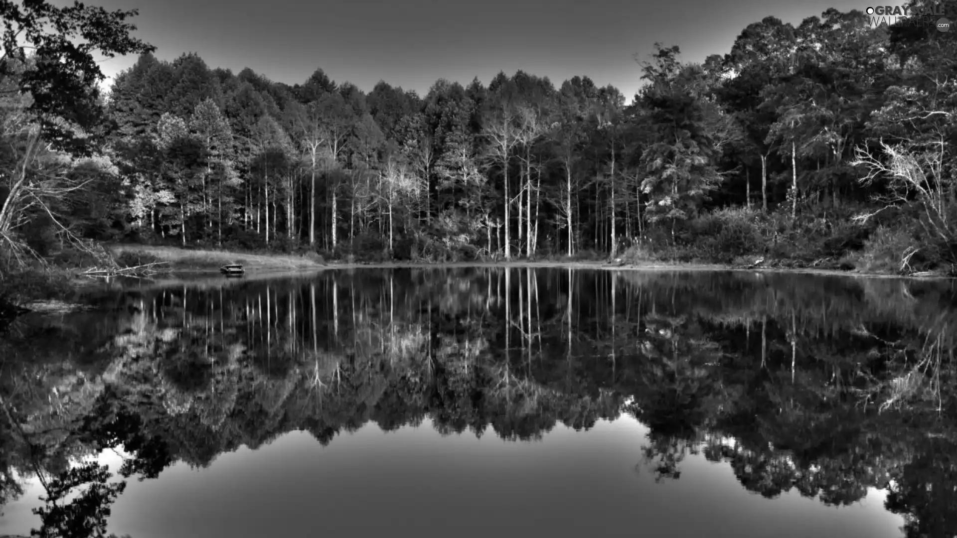 reflection, forest, lake