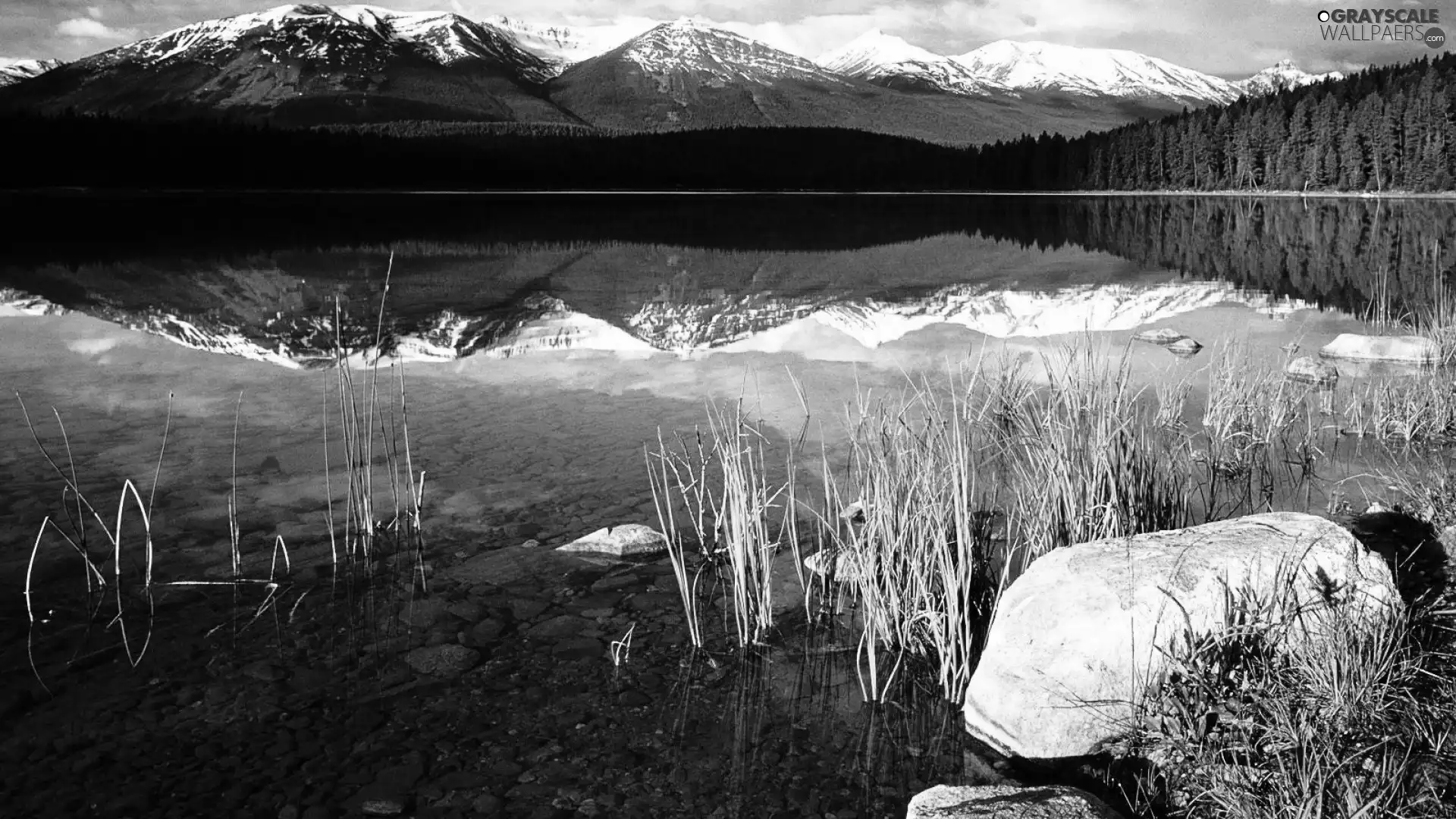 Mountains, forest, reflection, lake