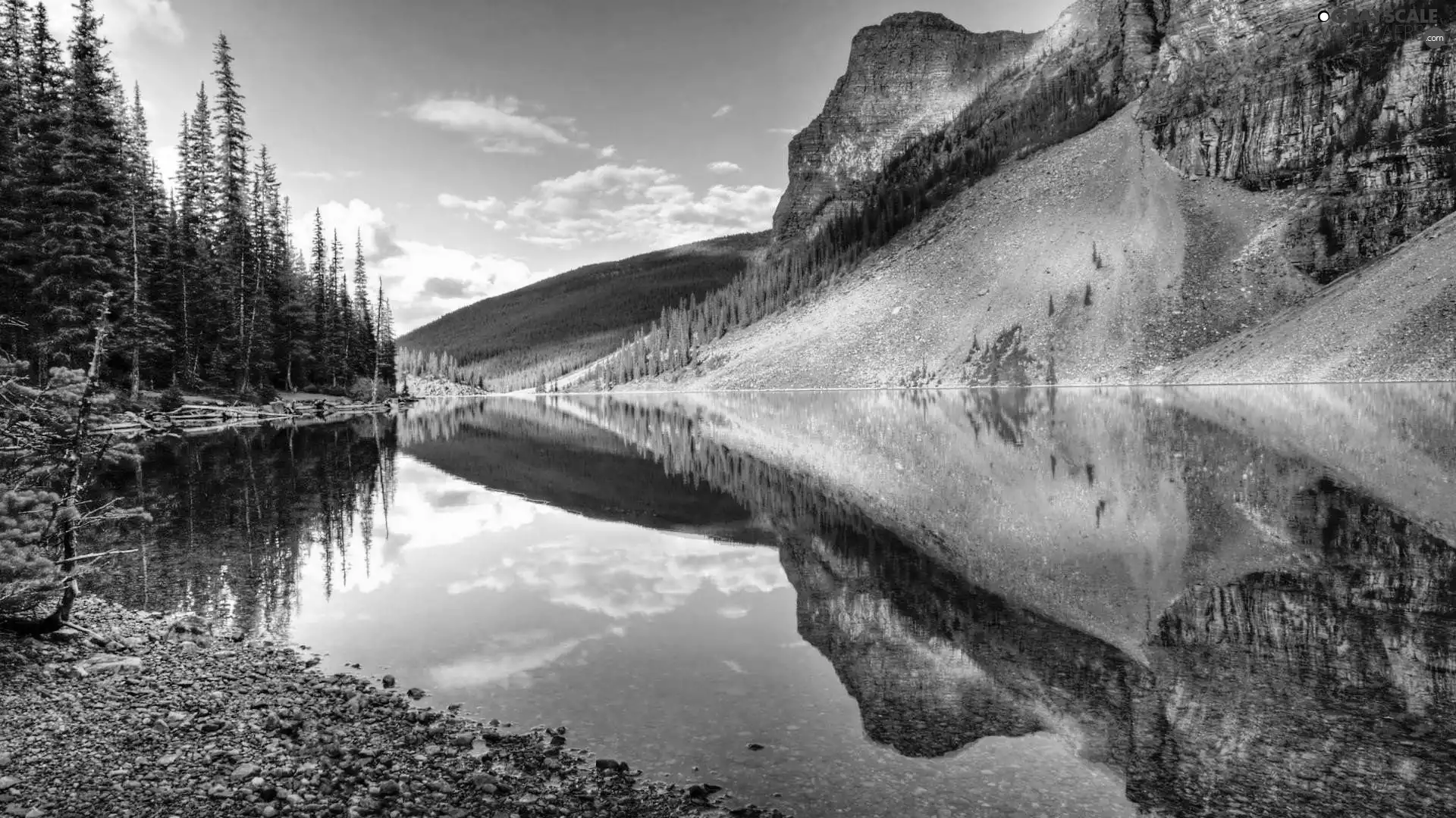 River, Mountains, reflection, woods