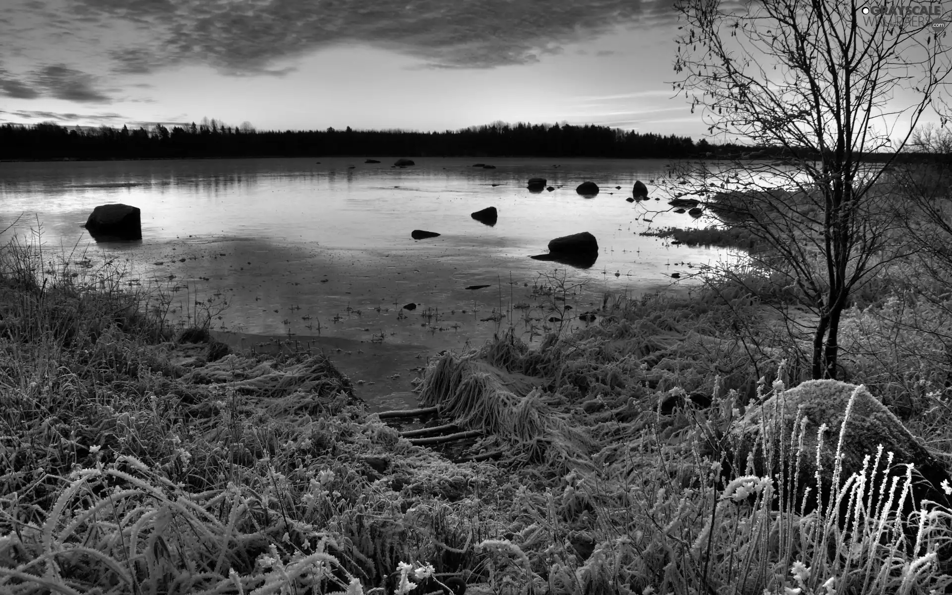 rime, coast, lakes