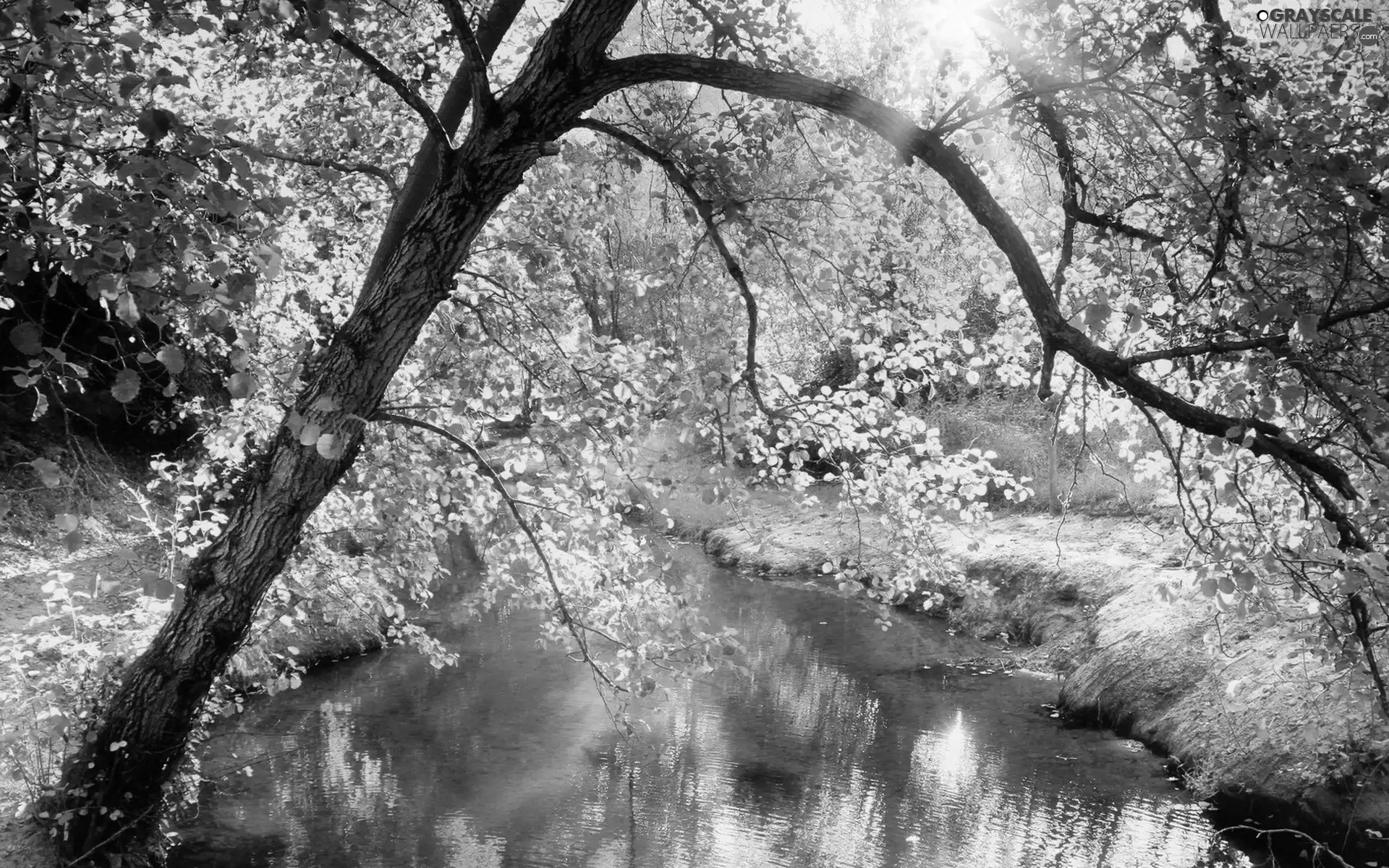 autumn, viewes, River, trees