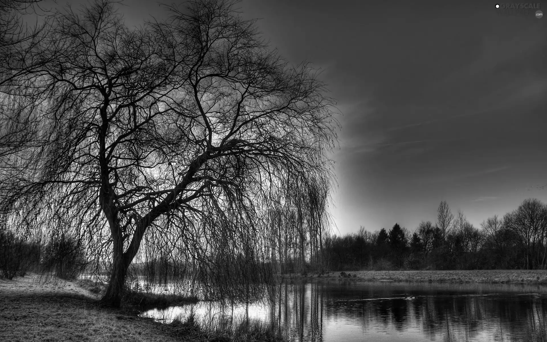 evening, sun, River, west