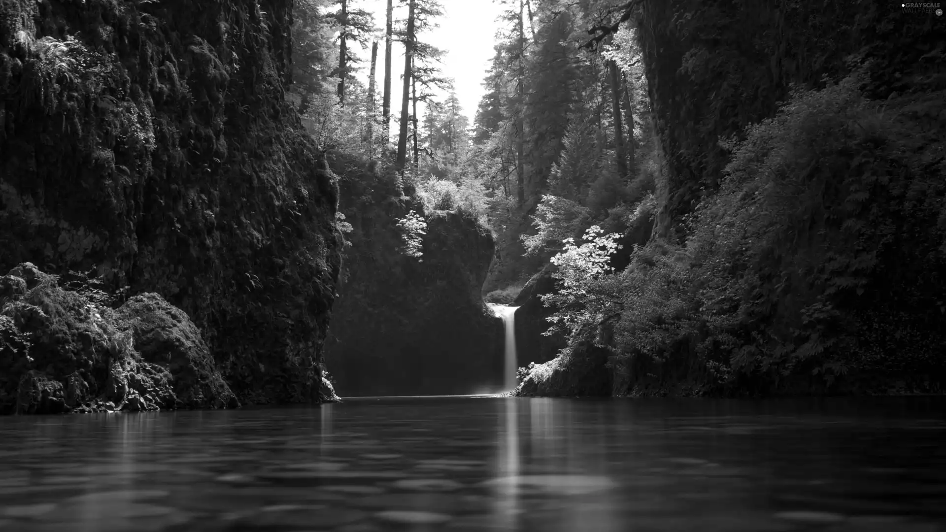 River, waterfall, forest