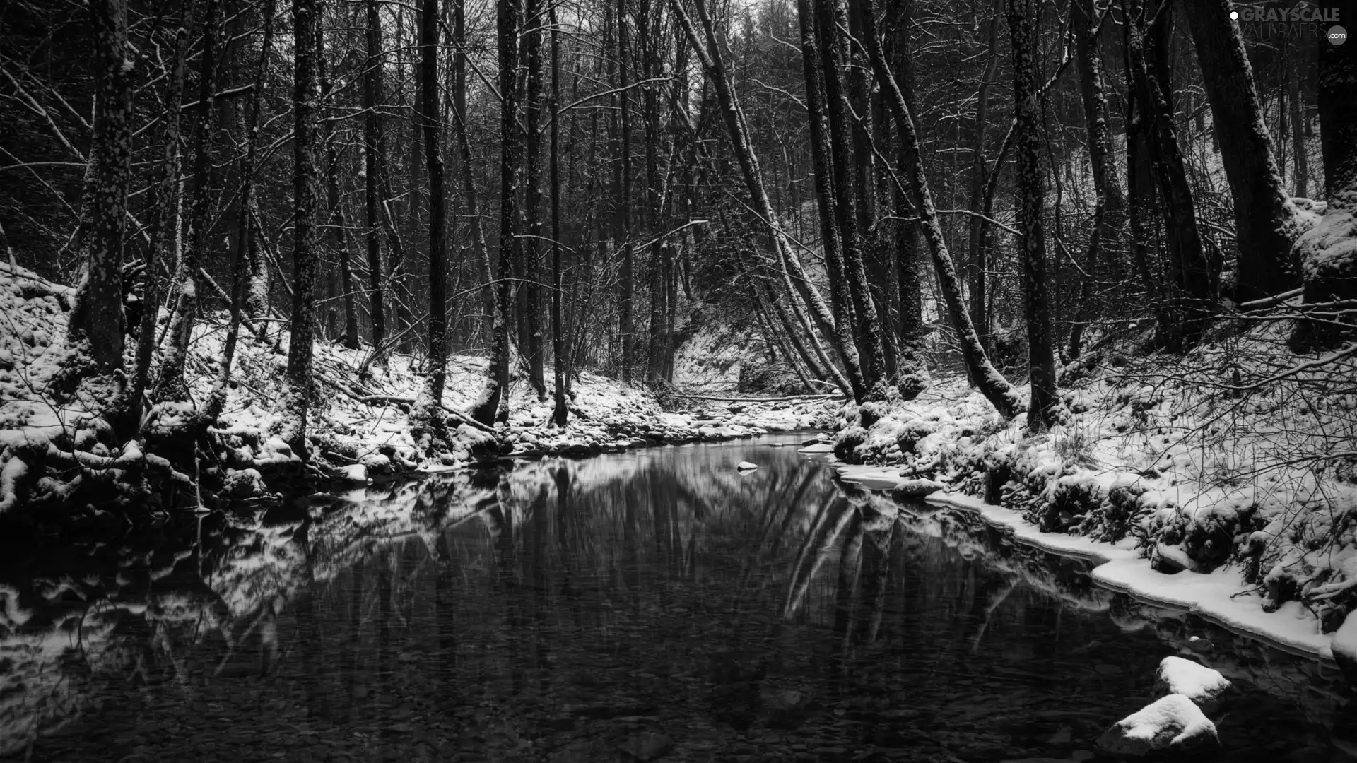 River, forest, Green